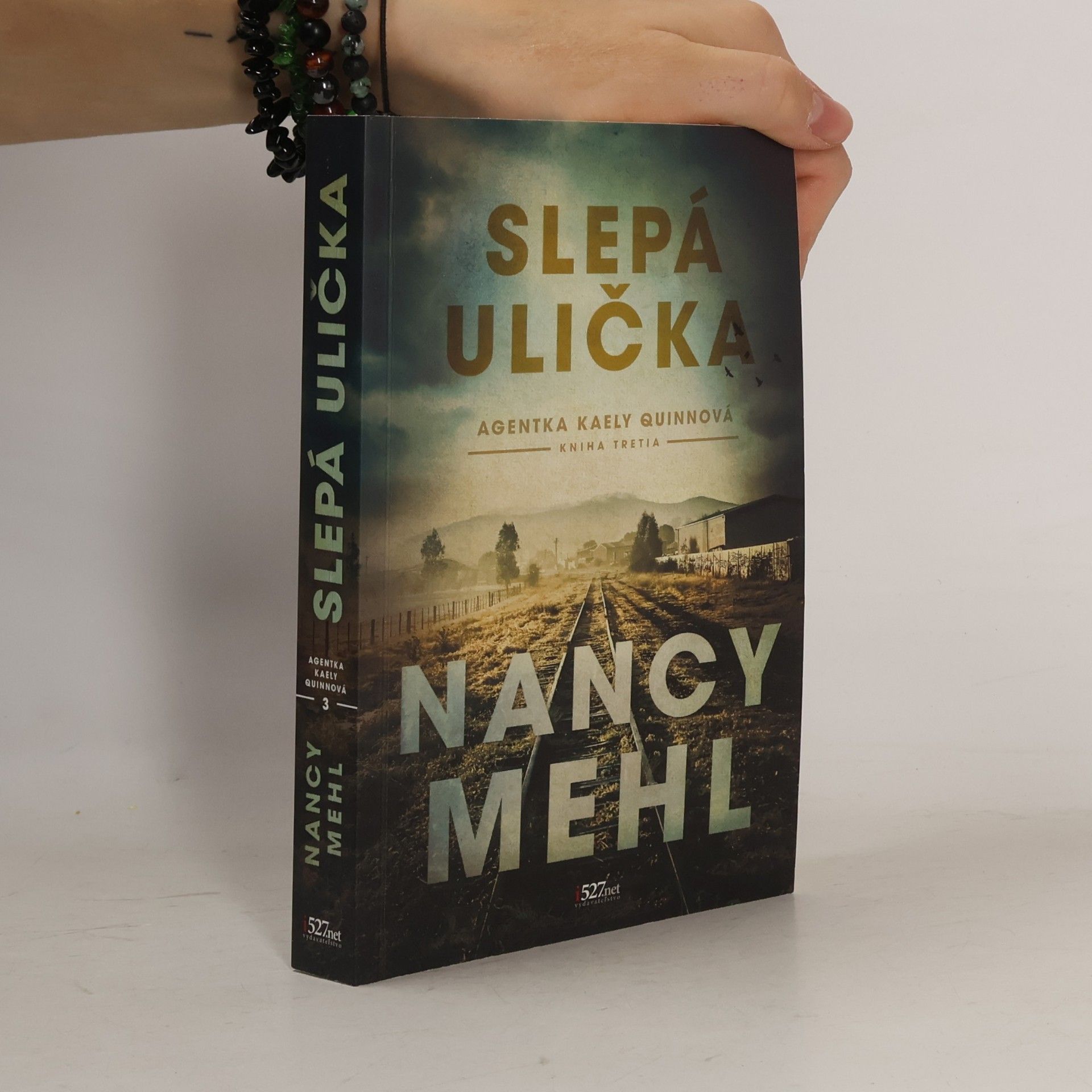 Nancy Mehl Slepá ulička