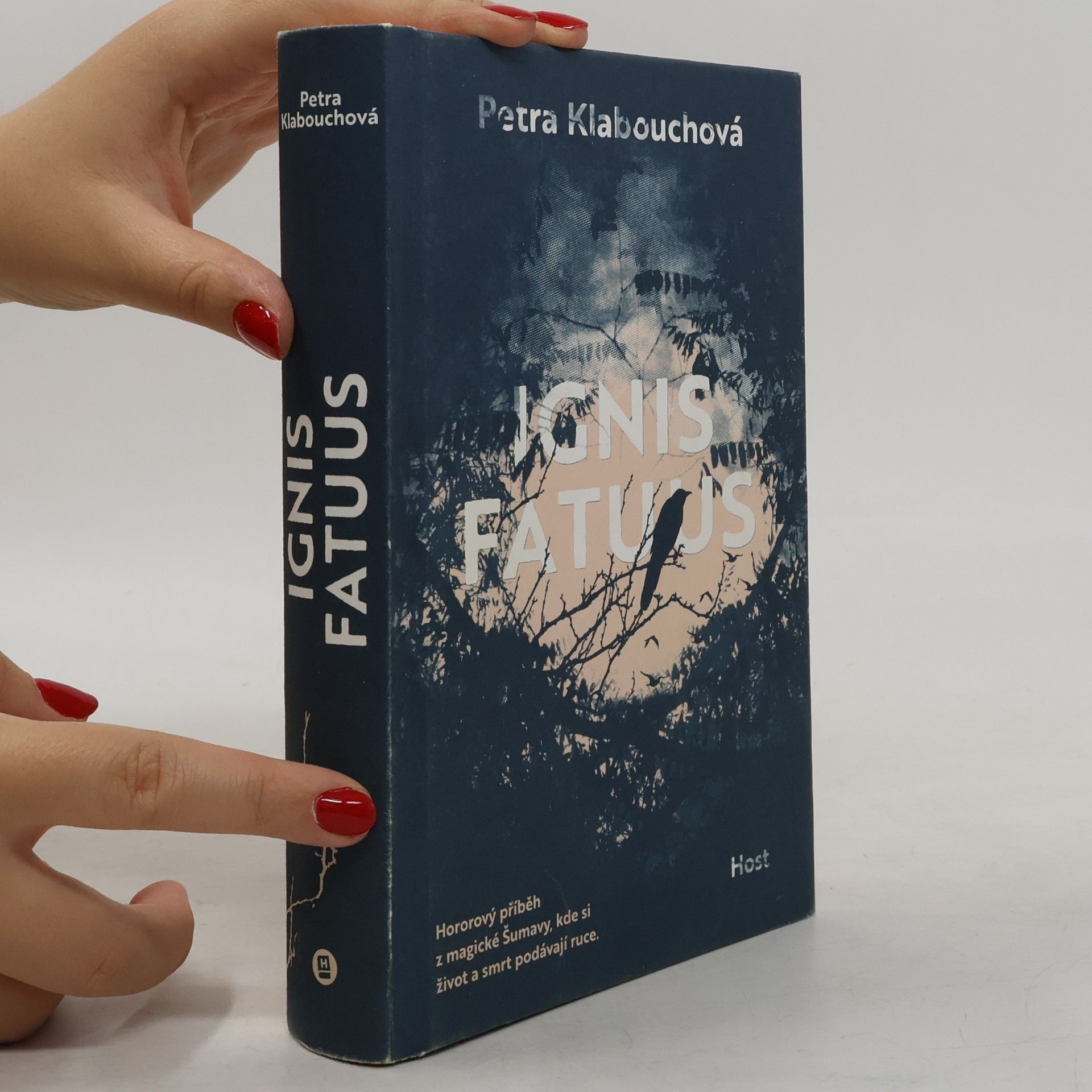 Petra Klabouchová Ignis Fatuus