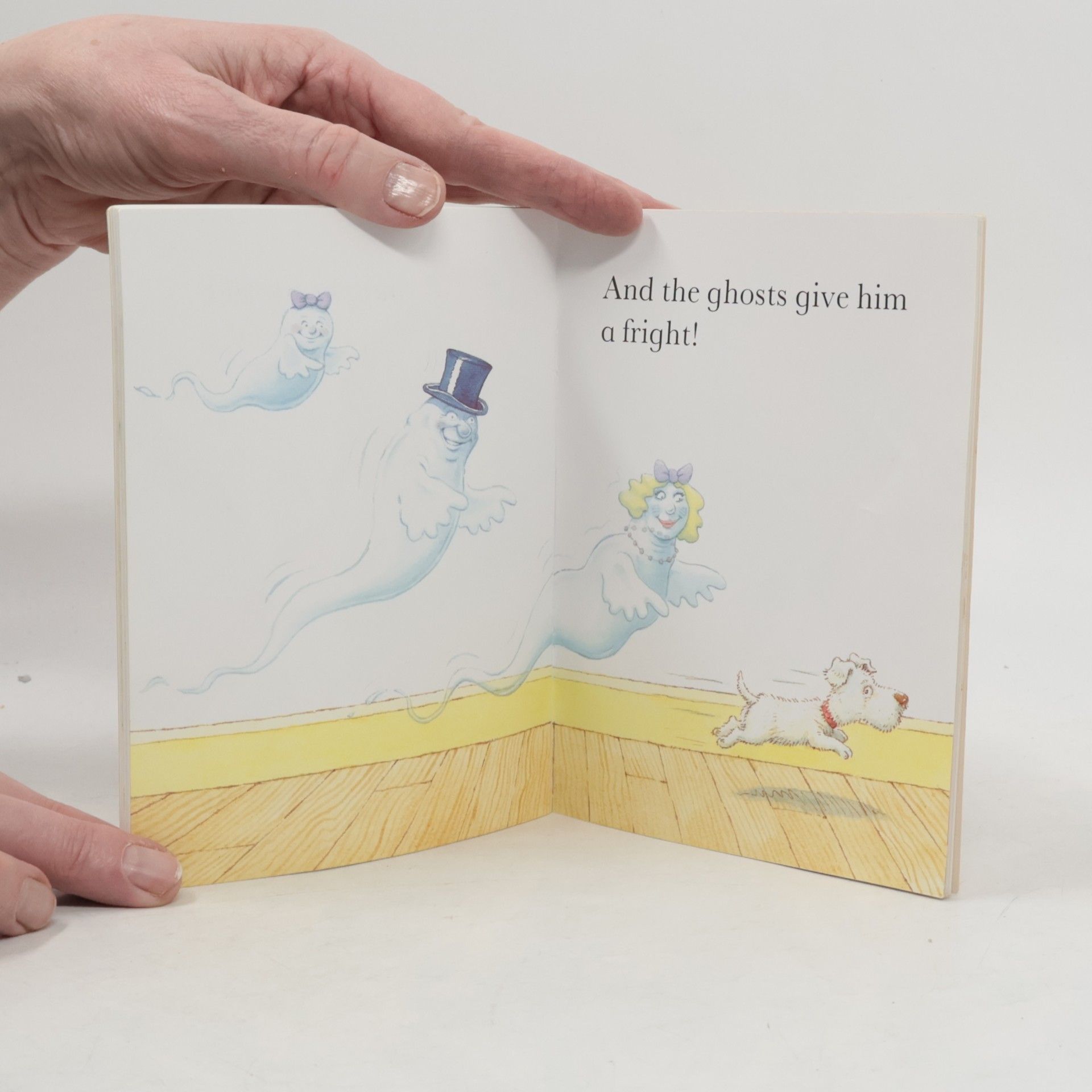 Allan Ahlberg Red Nose Readers: Push the Dog