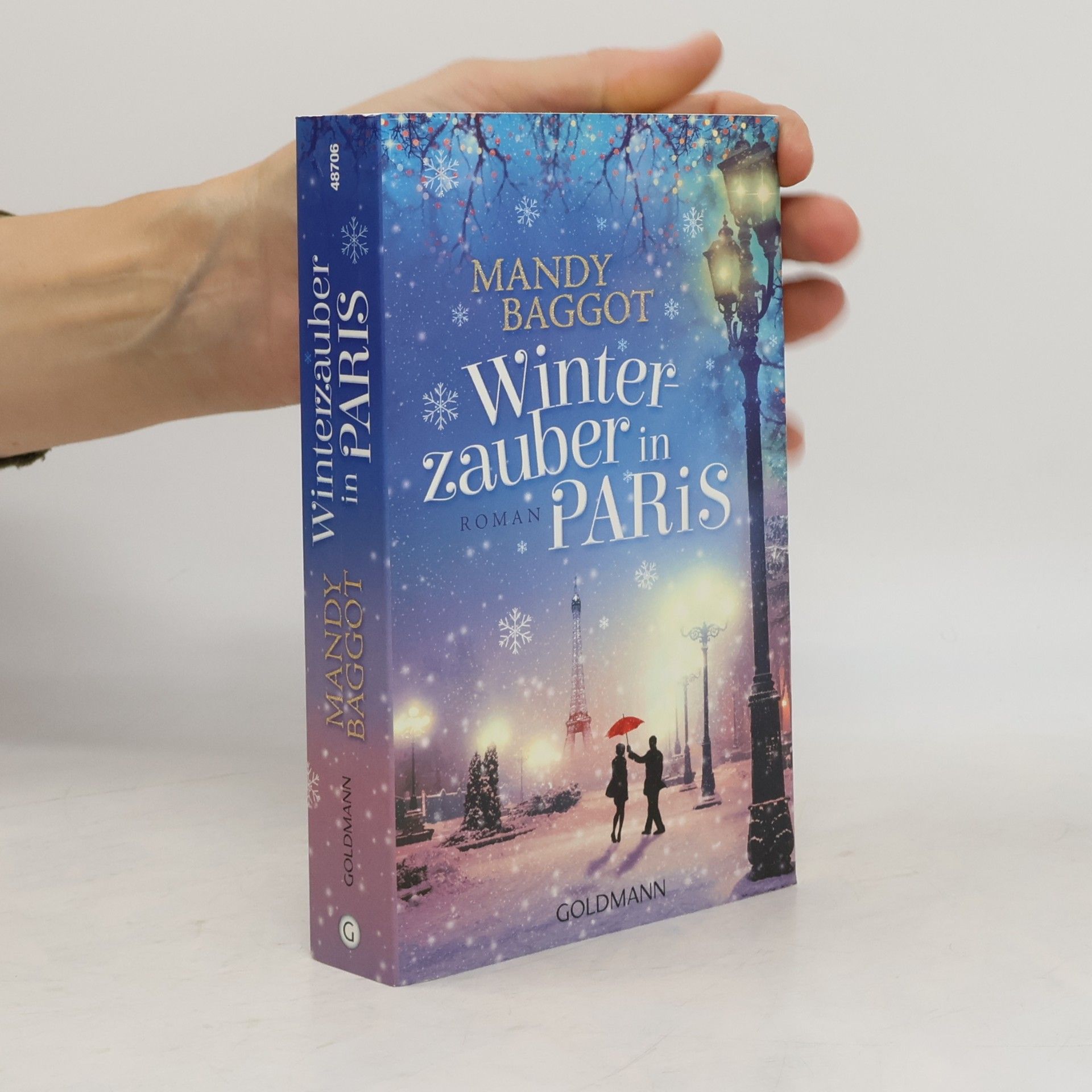 Mandy Baggot Winterzauber in Paris