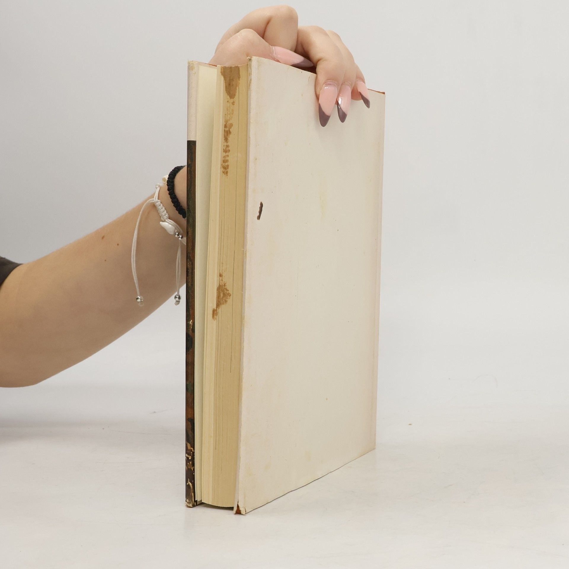 John Walker Die National-Galerie Washington