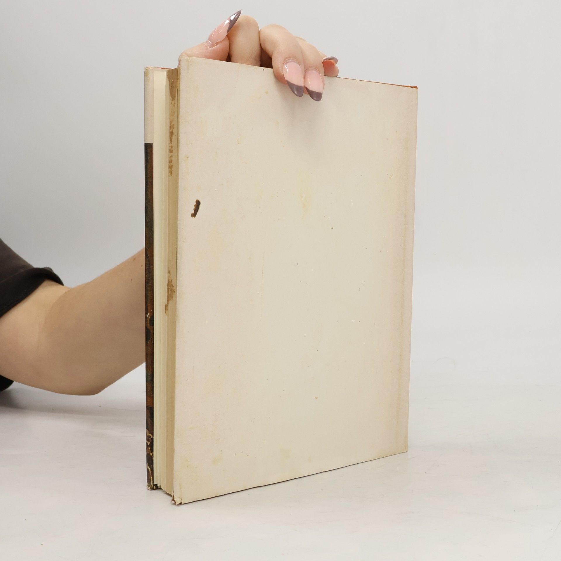 John Walker Die National-Galerie Washington