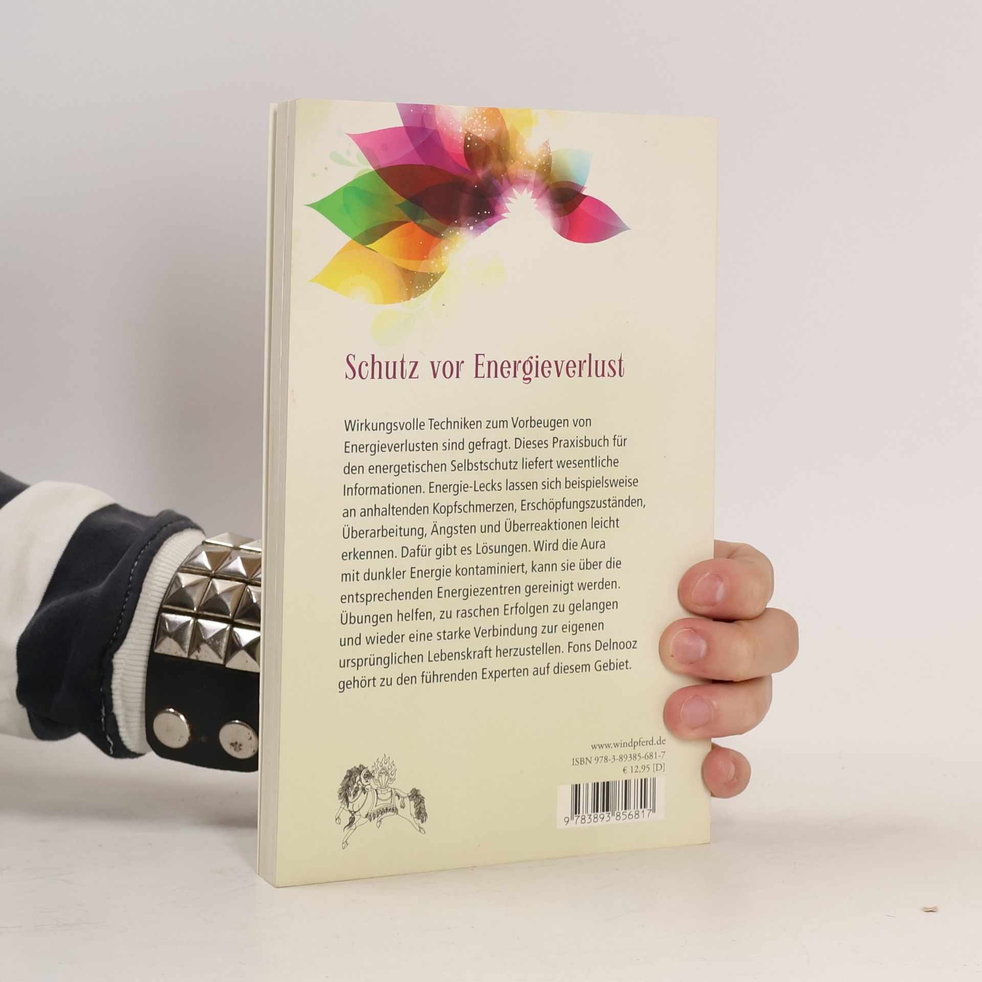 Fons Delnooz Praxisbuch für den energetischen Selbstschutz