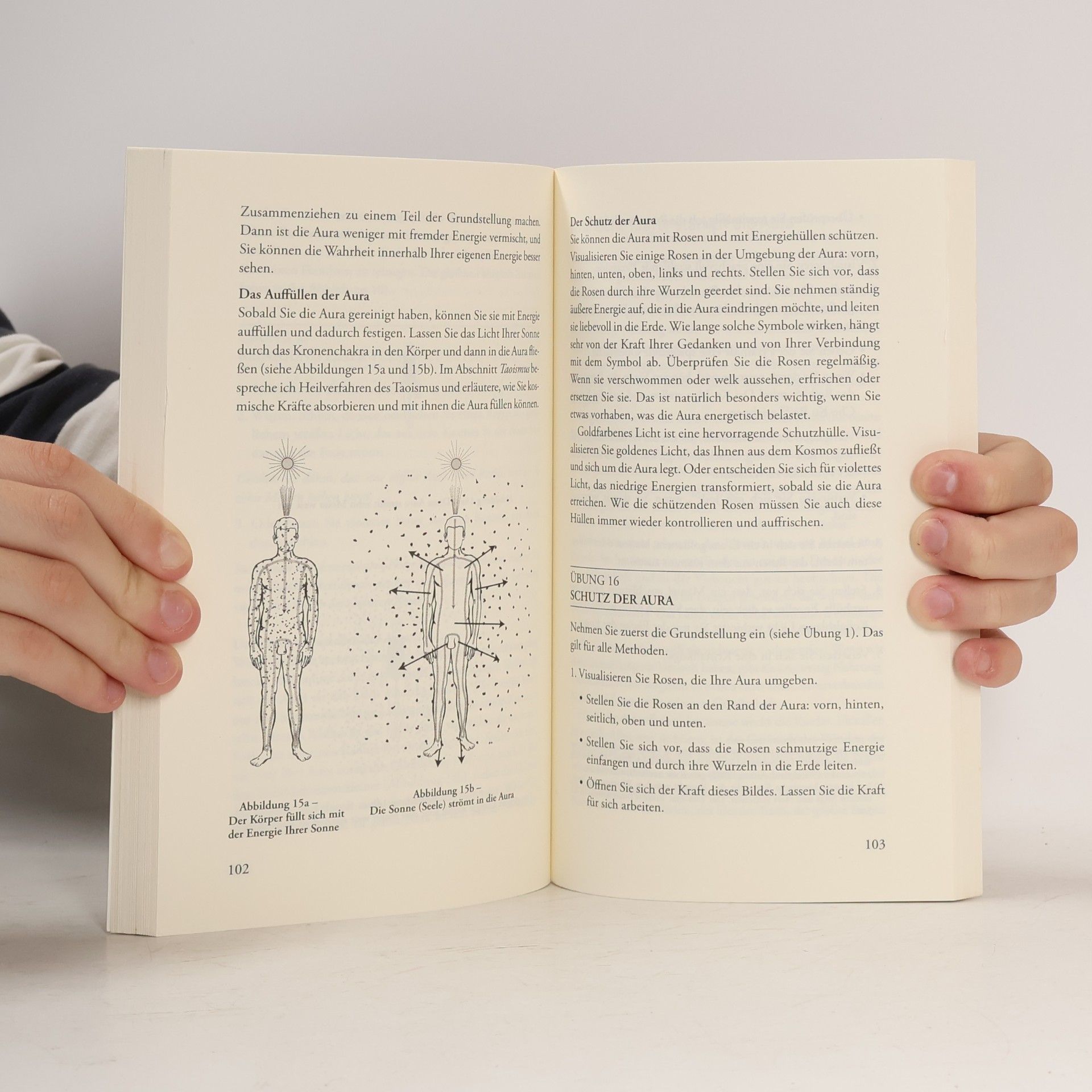 Fons Delnooz Praxisbuch für den energetischen Selbstschutz