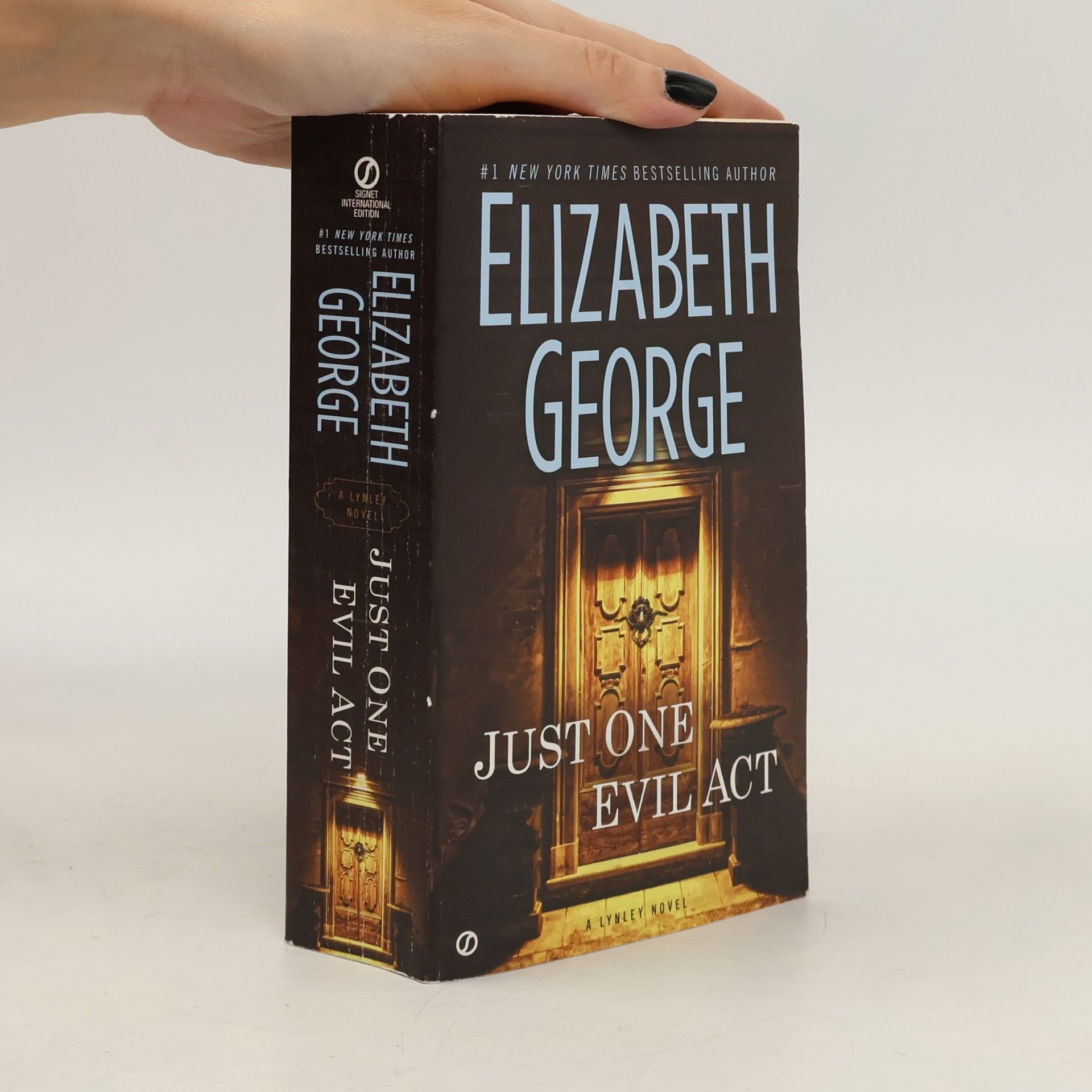 Elizabeth George Just One Evil Act
