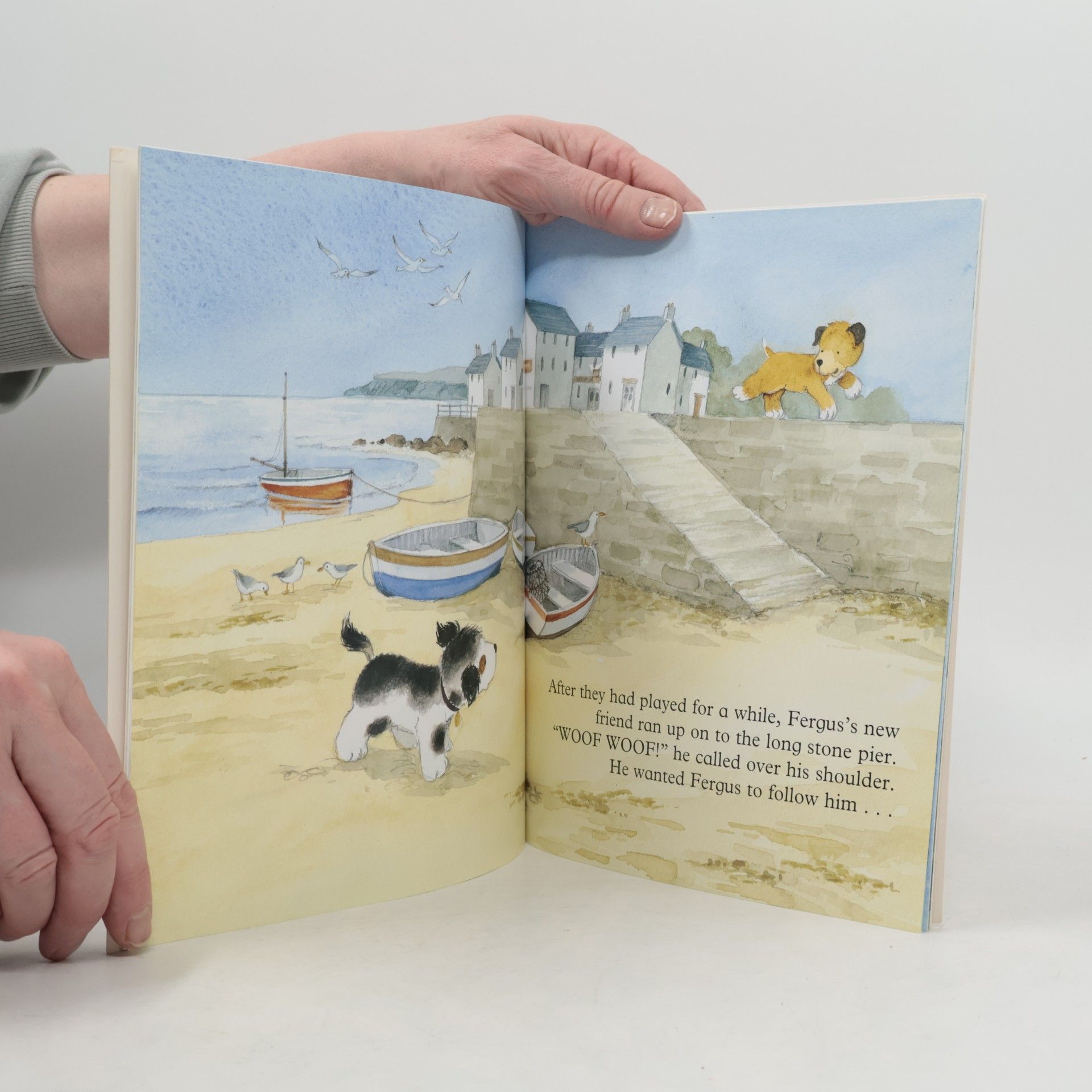 Tony Maddox Fergus the Sea Dog