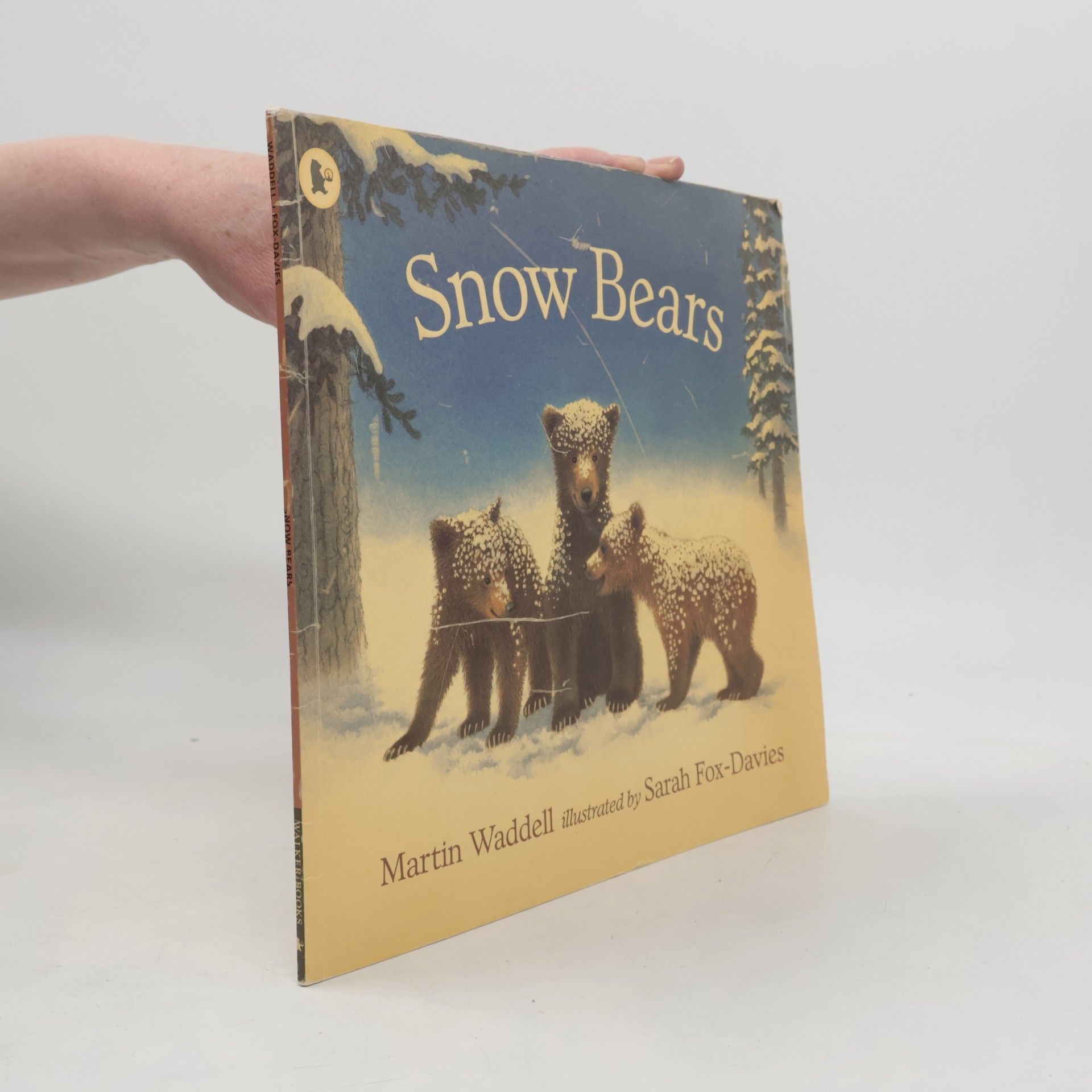 Snow Bears