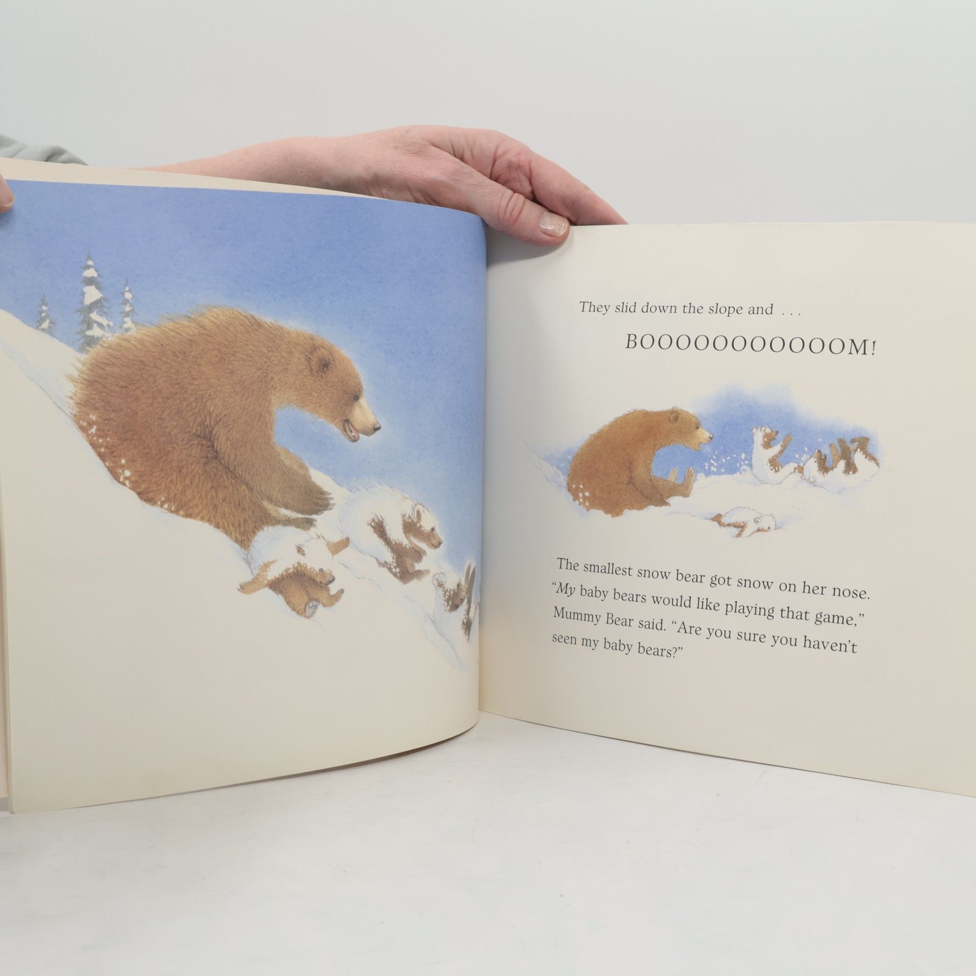 Martin Waddell Snow Bears