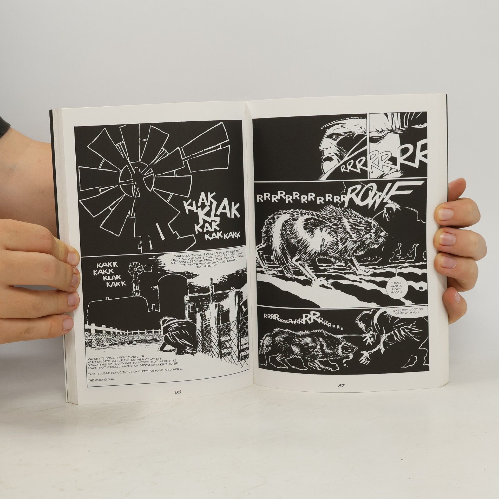 Frank Miller Sin City - The Hard Goodbye. Stadt ohne Gnade, englische Ausgabe
