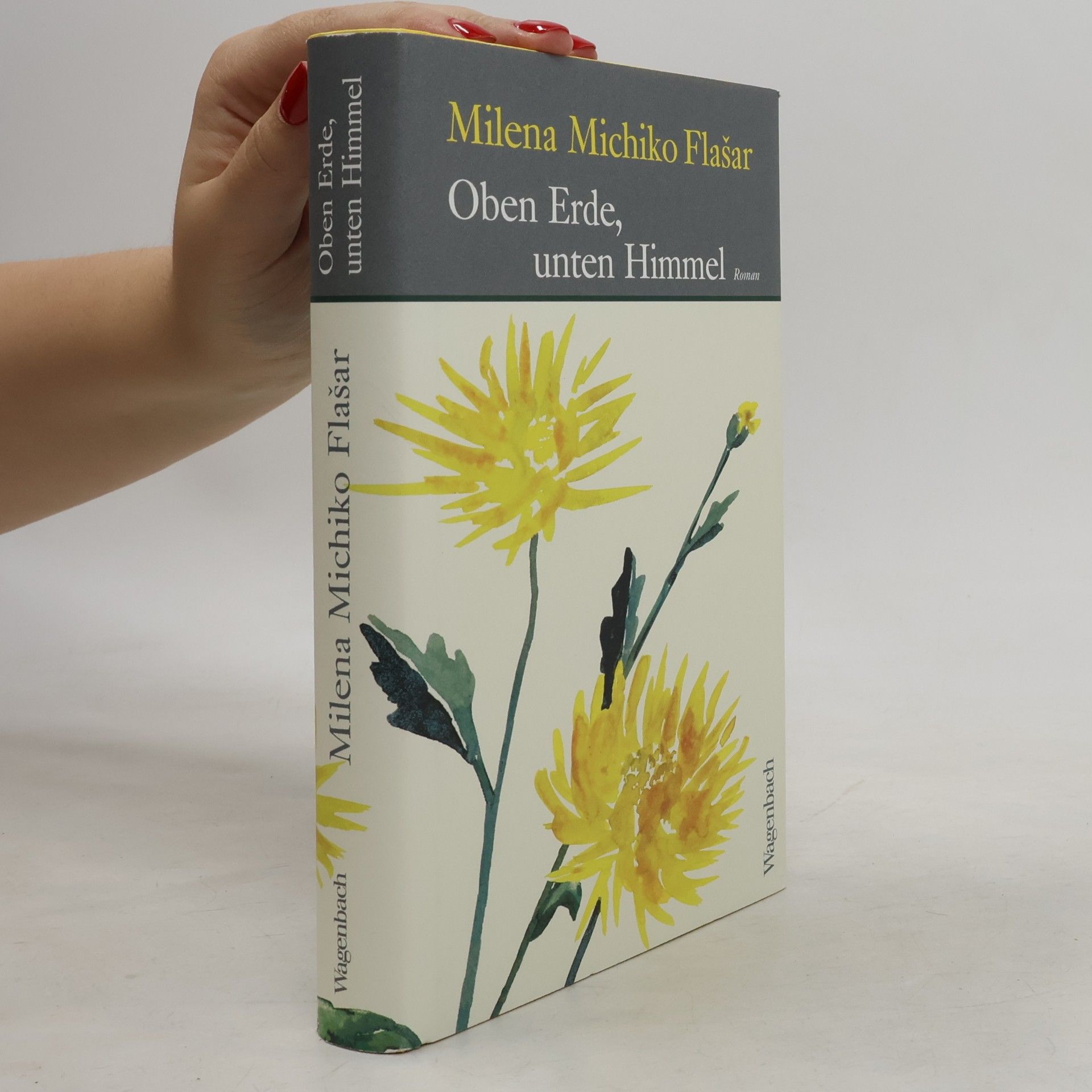 Milena Michiko Flašar Oben Erde, unten Himmel