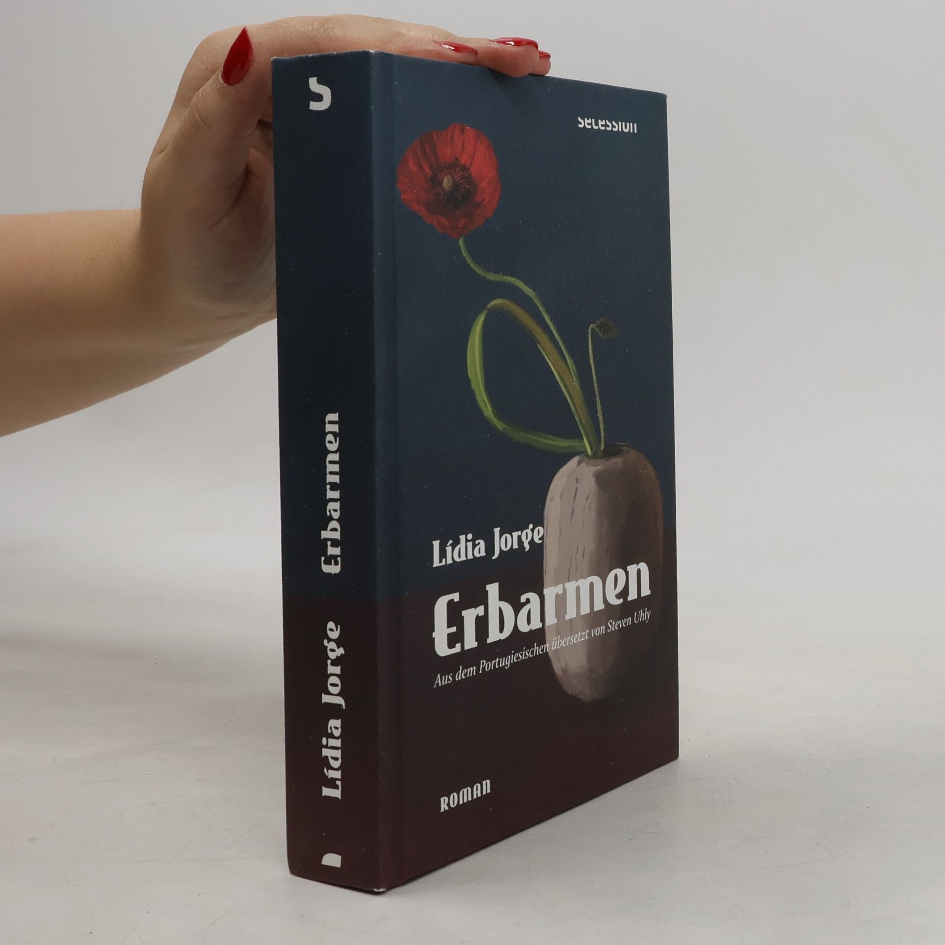 Lídia Jorge Erbarmen