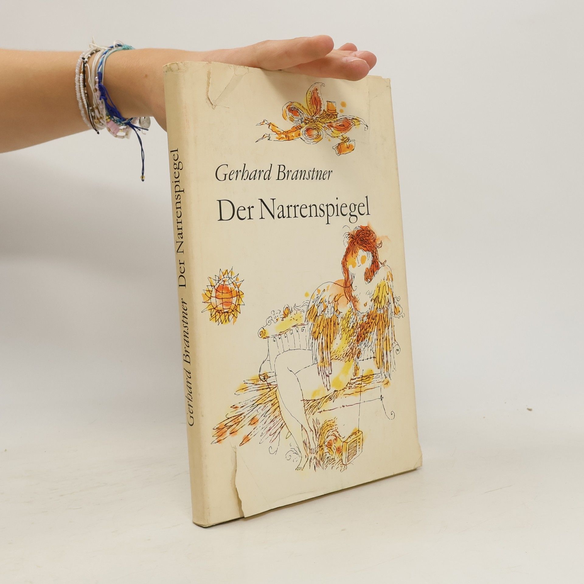 Gerhard Branstner Der Narrenspiegel