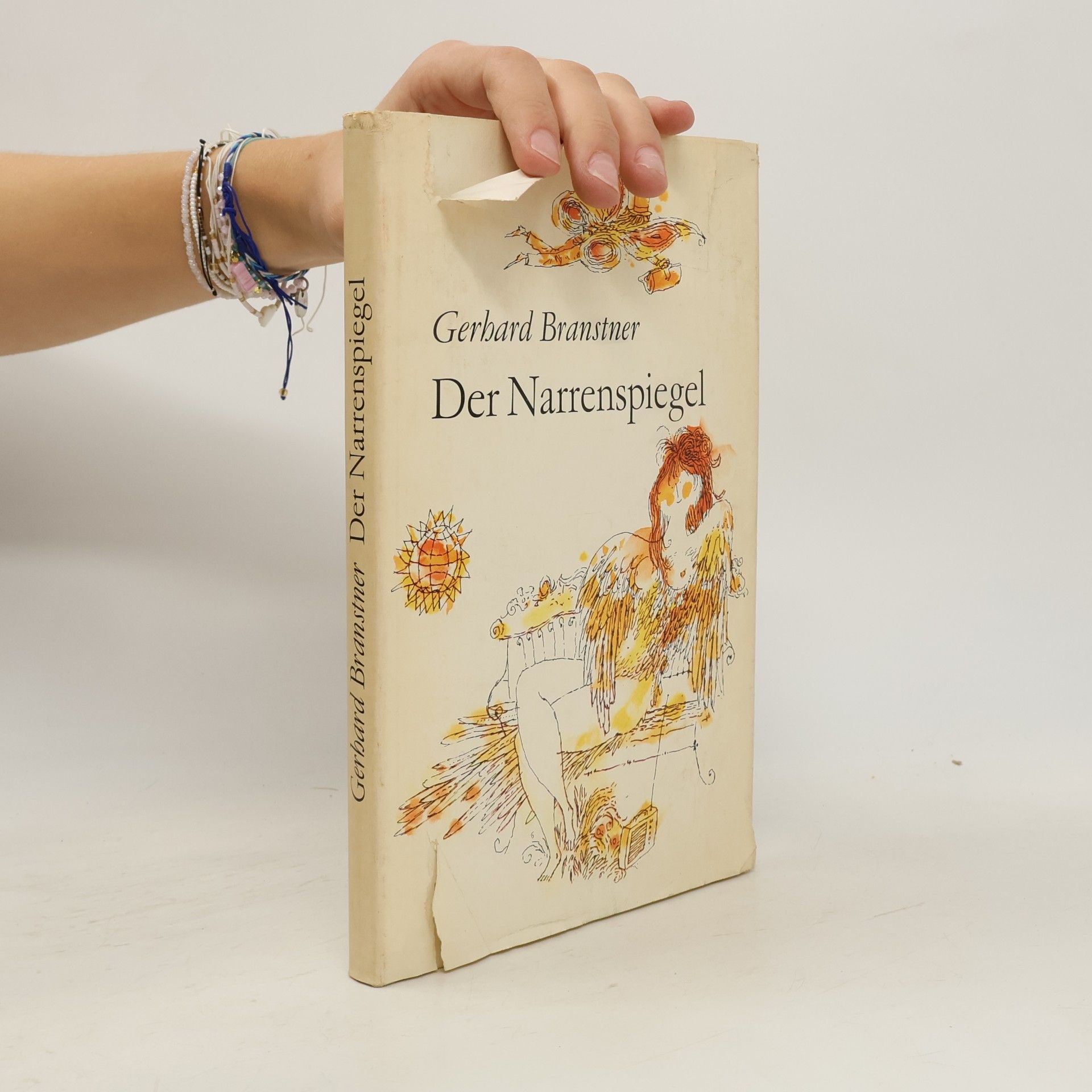 Gerhard Branstner Der Narrenspiegel