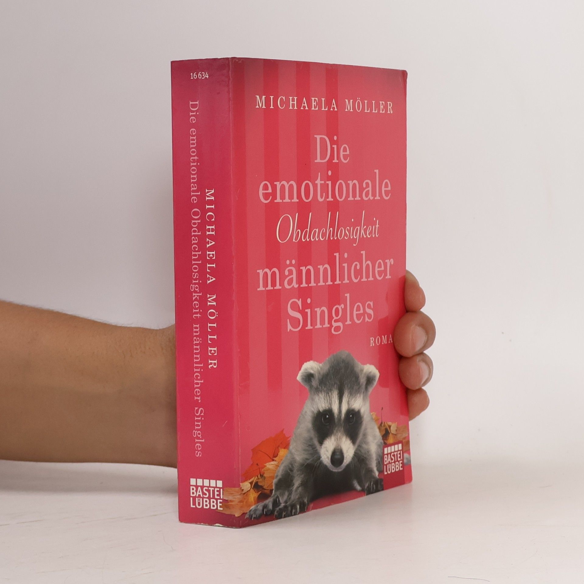 Die emotionale Obdachlosigkeit männlicher Singles