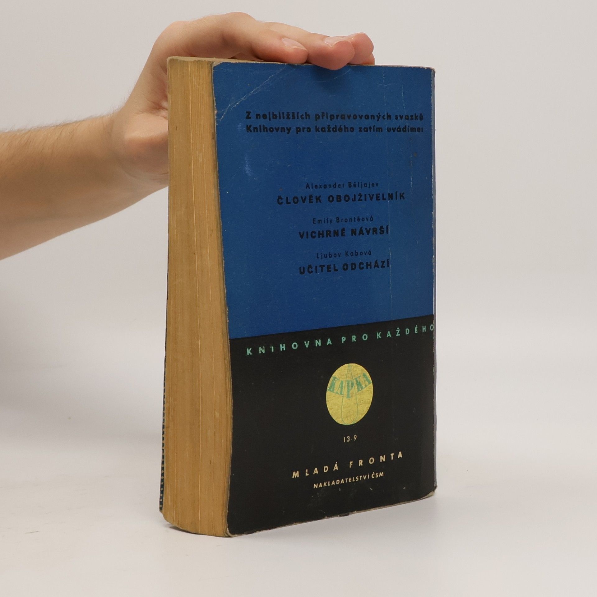 Sinclair Lewis Anna Vickersová
