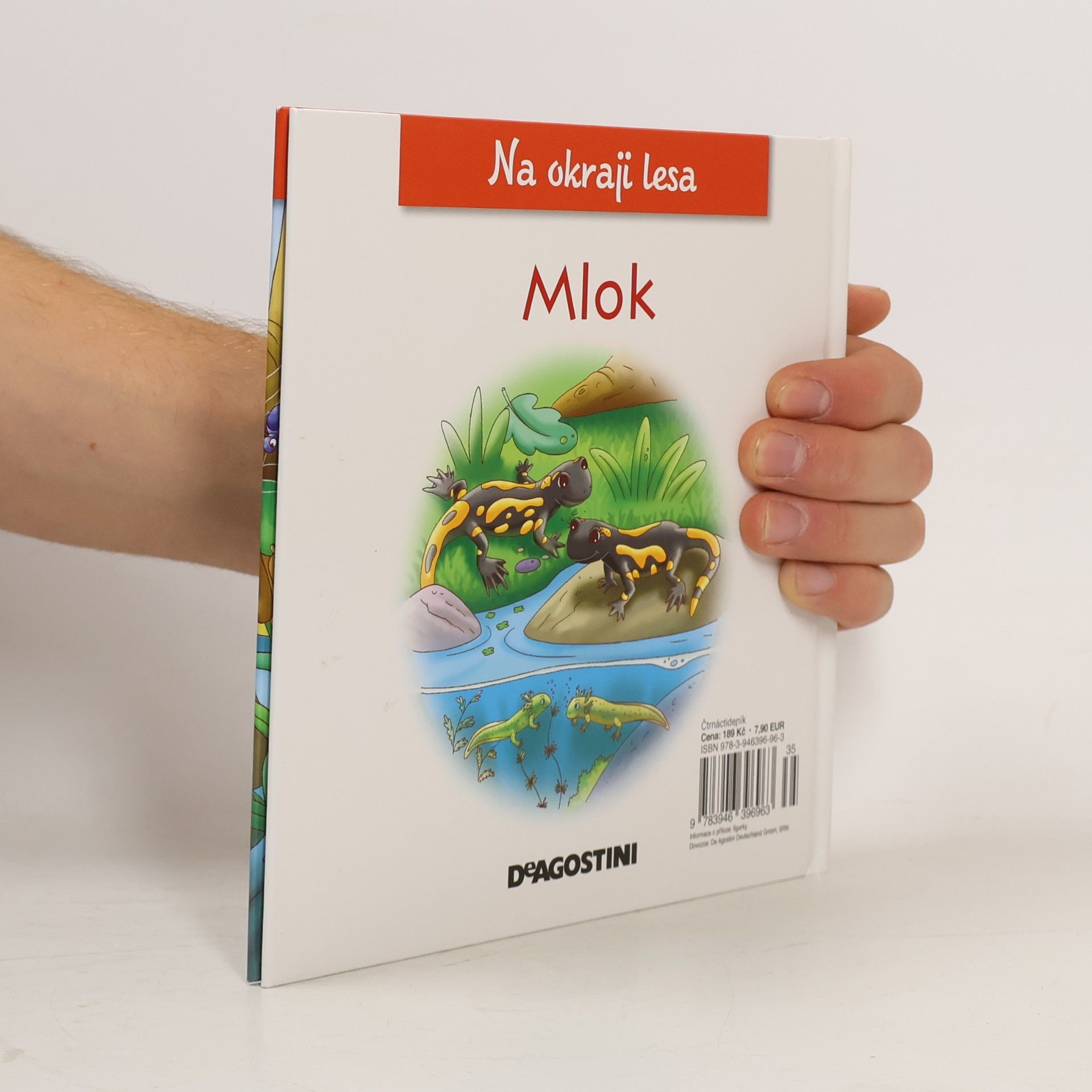 Autorenkollektiv Na okraji lesa 53. Mlok