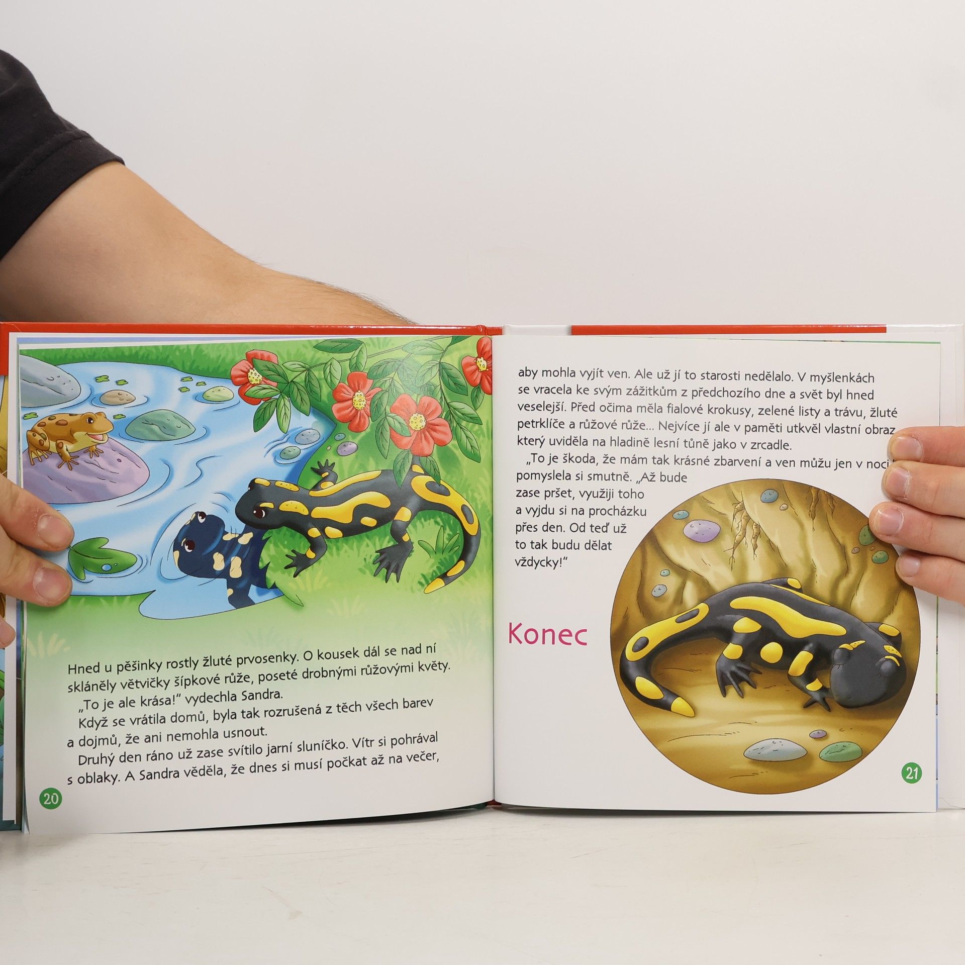 Autorenkollektiv Na okraji lesa 53. Mlok