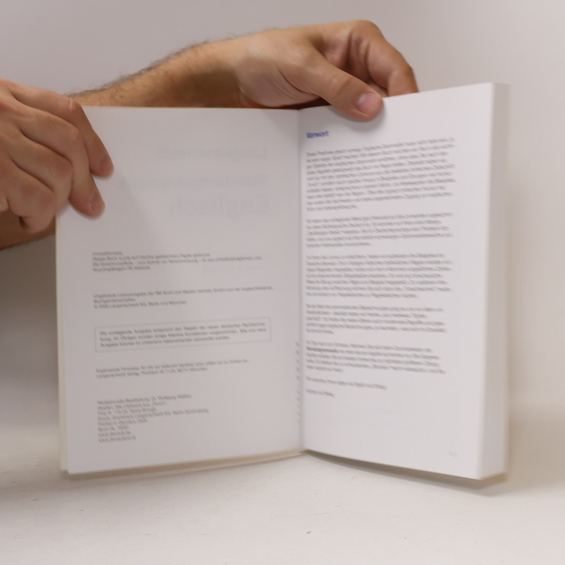 Autorenkollektiv Langenscheidt. Standardgrammatik Englisch