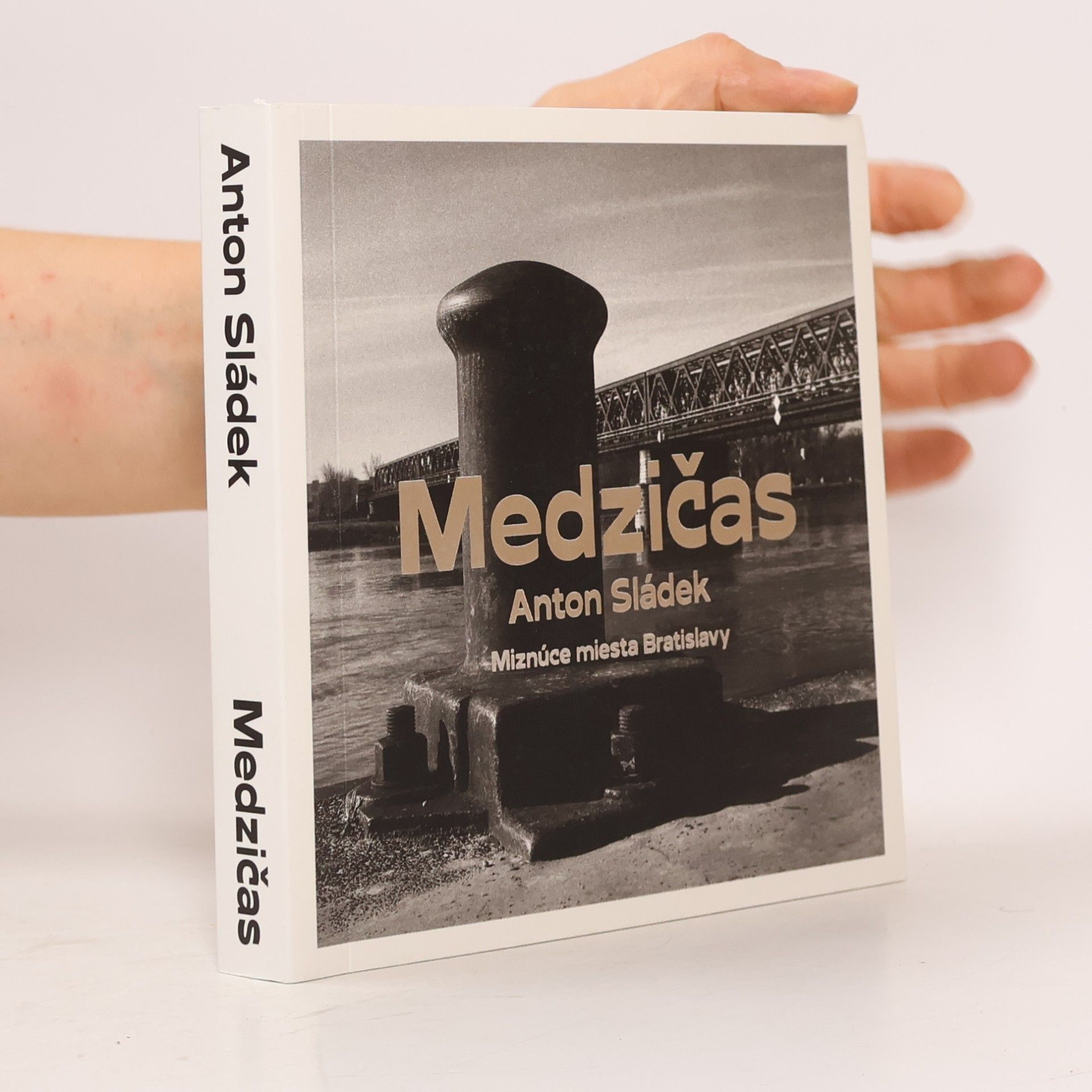 Medzičas