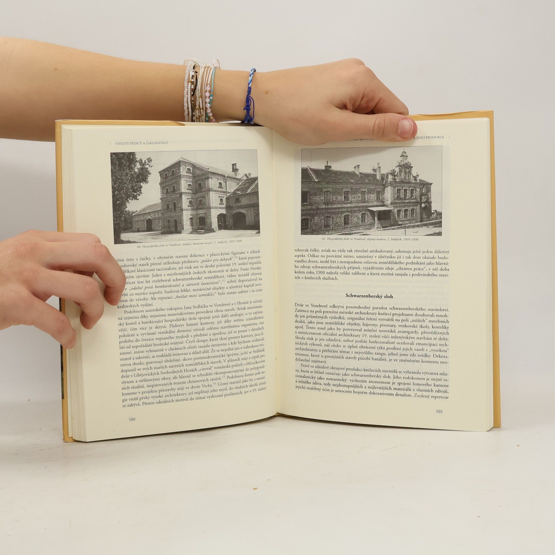 Jindřich Vybíral Století dědiců a zakladatelů. Architektura jižních Čech v období historismu