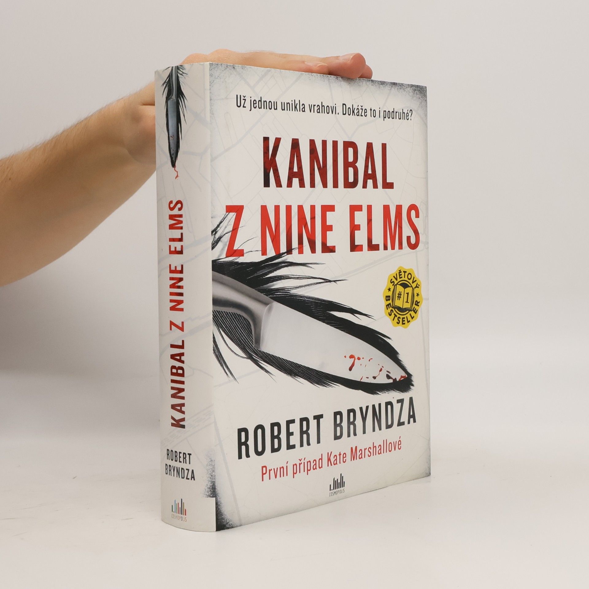 Robert Bryndza Kanibal z Nine Elms