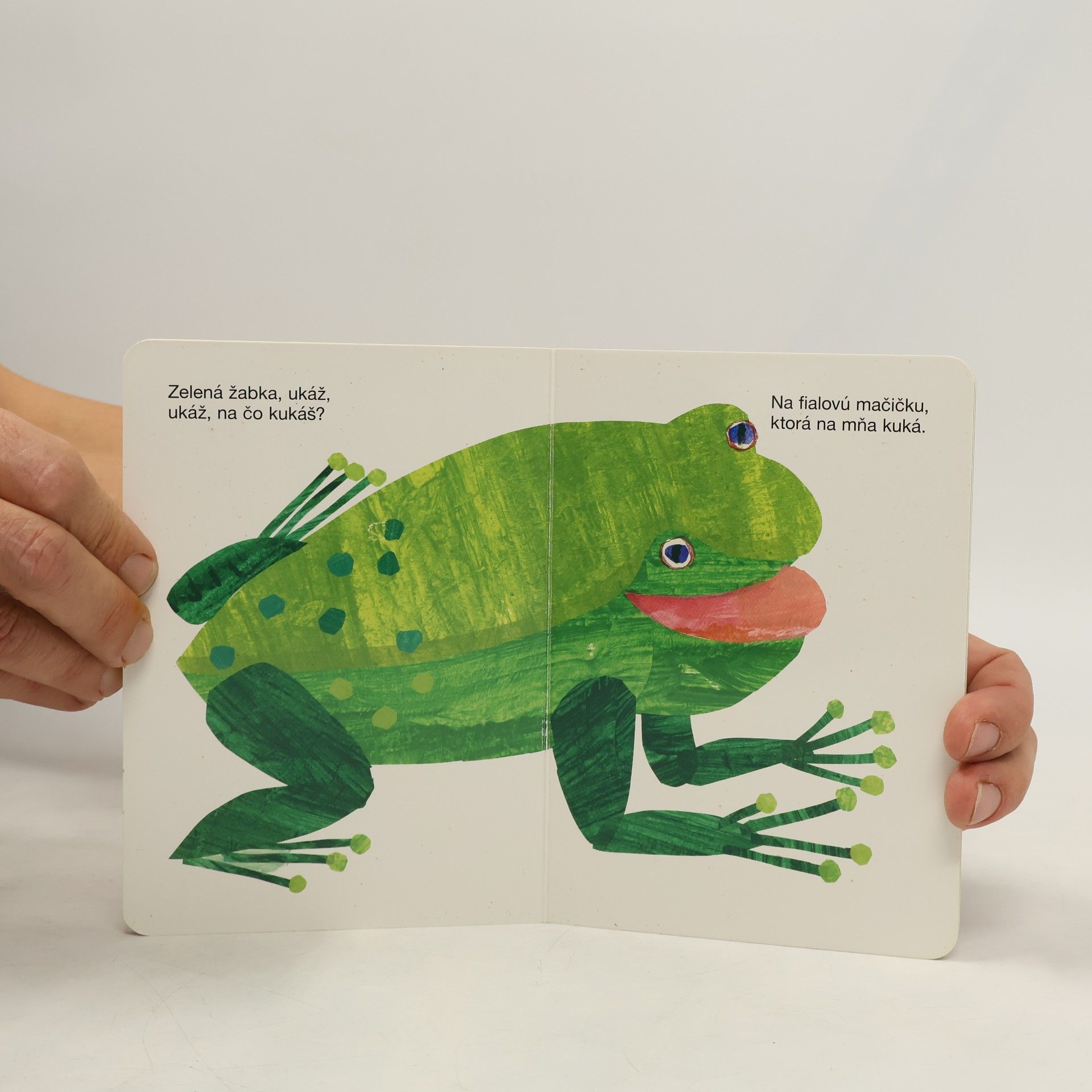 Eric Carle Medveď, ukáž na čo kukáš?