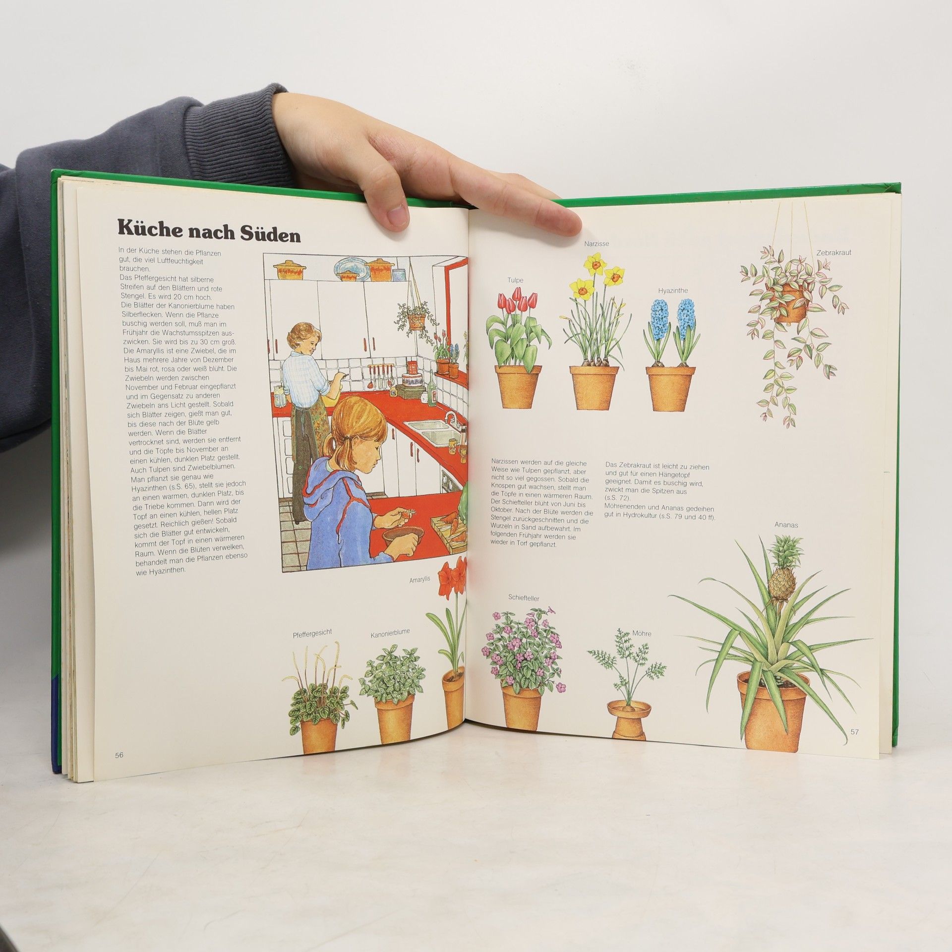 Sue Tarsky Unser Garten ist im Haus
