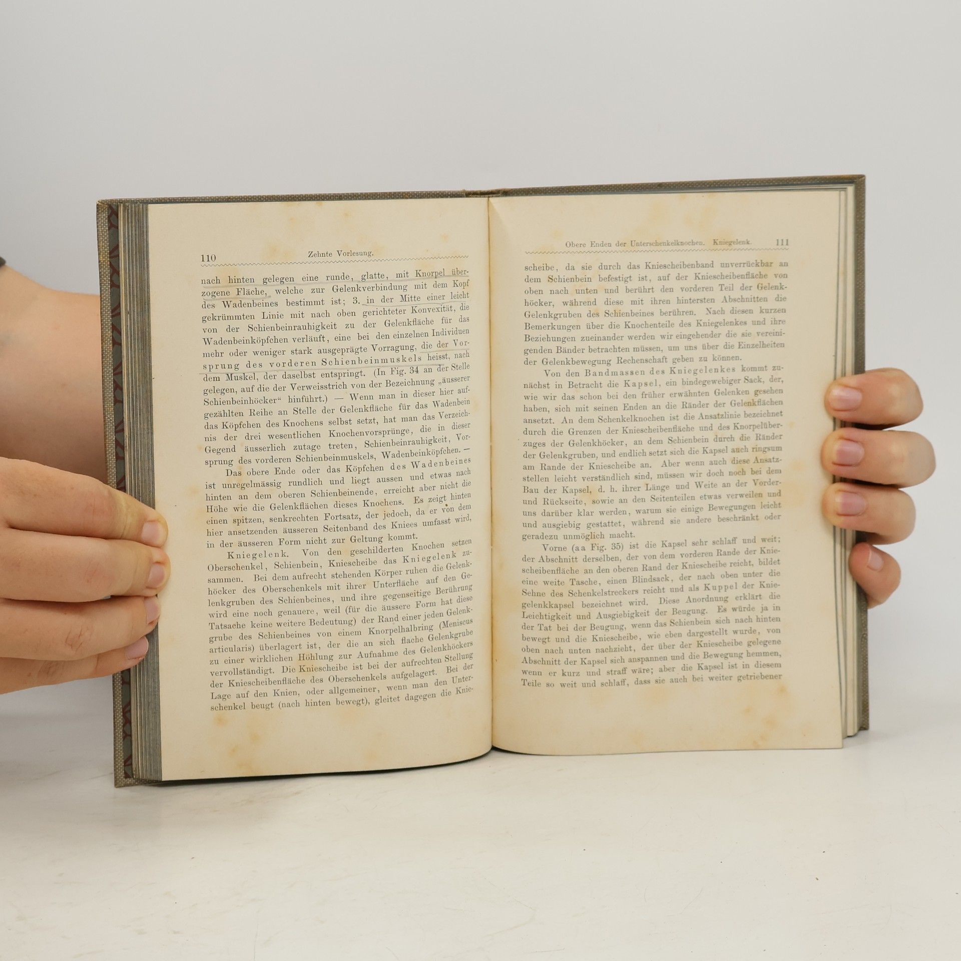 Mathias Duval Anatomie für Künstler