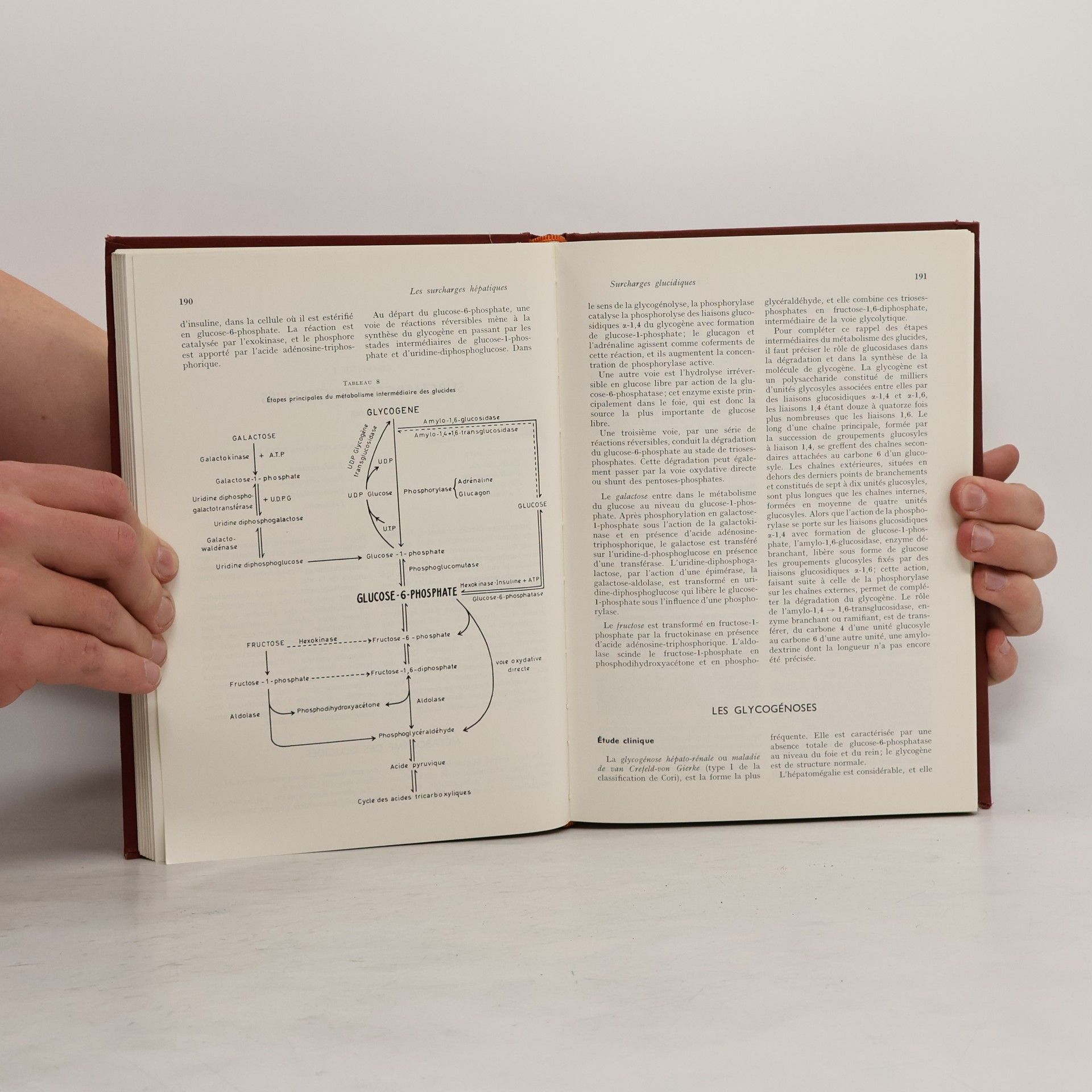 J. Godart Traité pratique de pathologie digestive 3