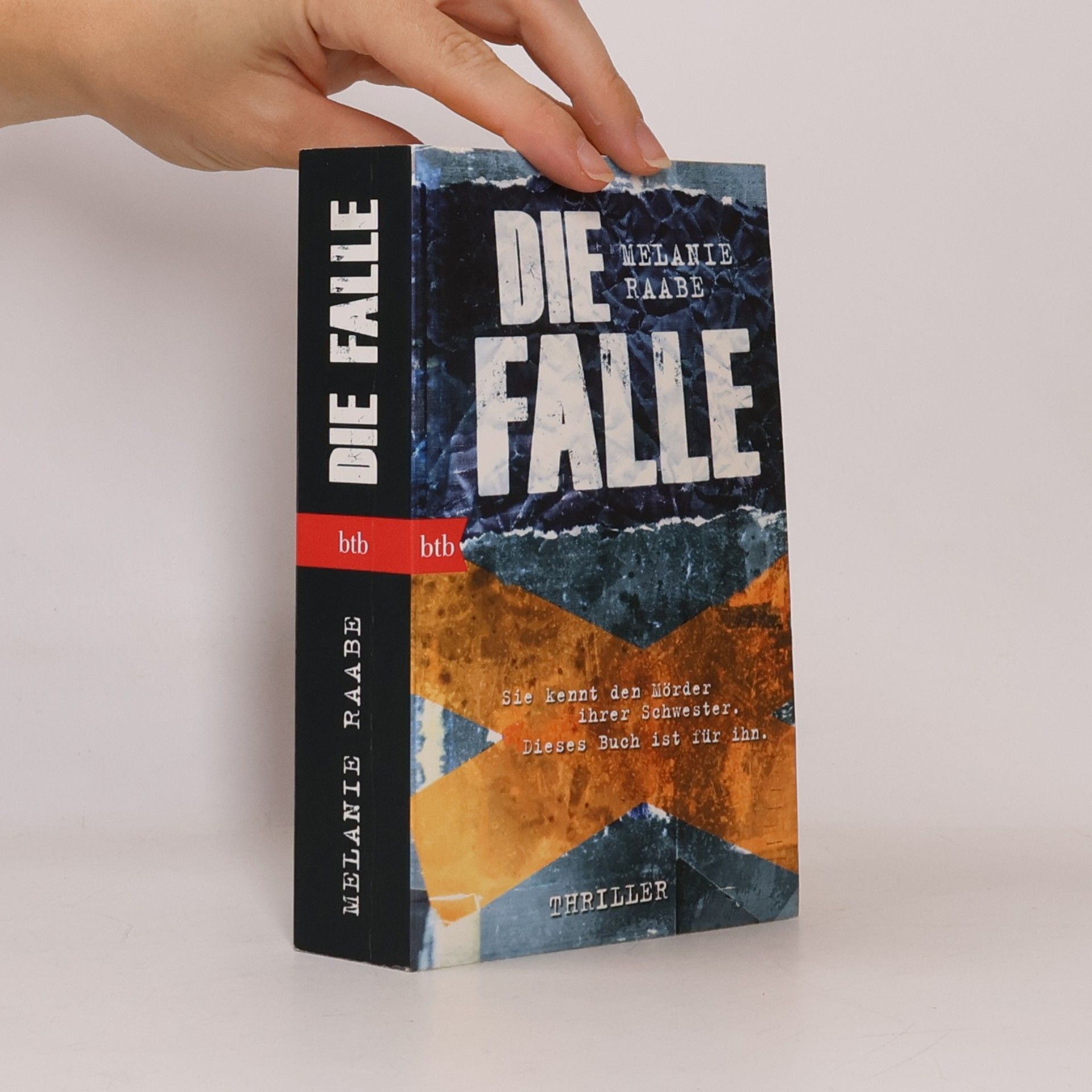 Melanie Raabe Die Falle