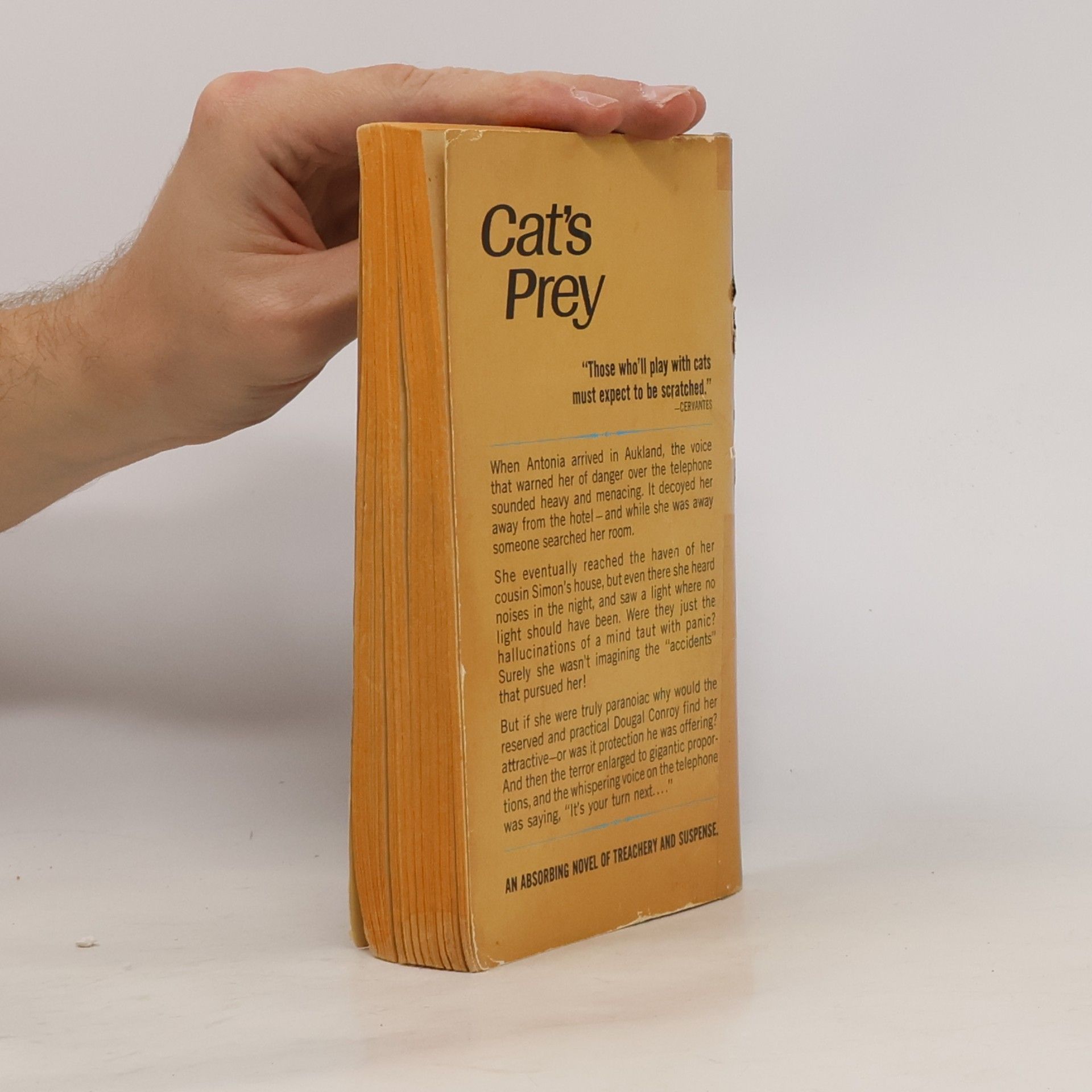 Dorothy Eden Cat's Prey