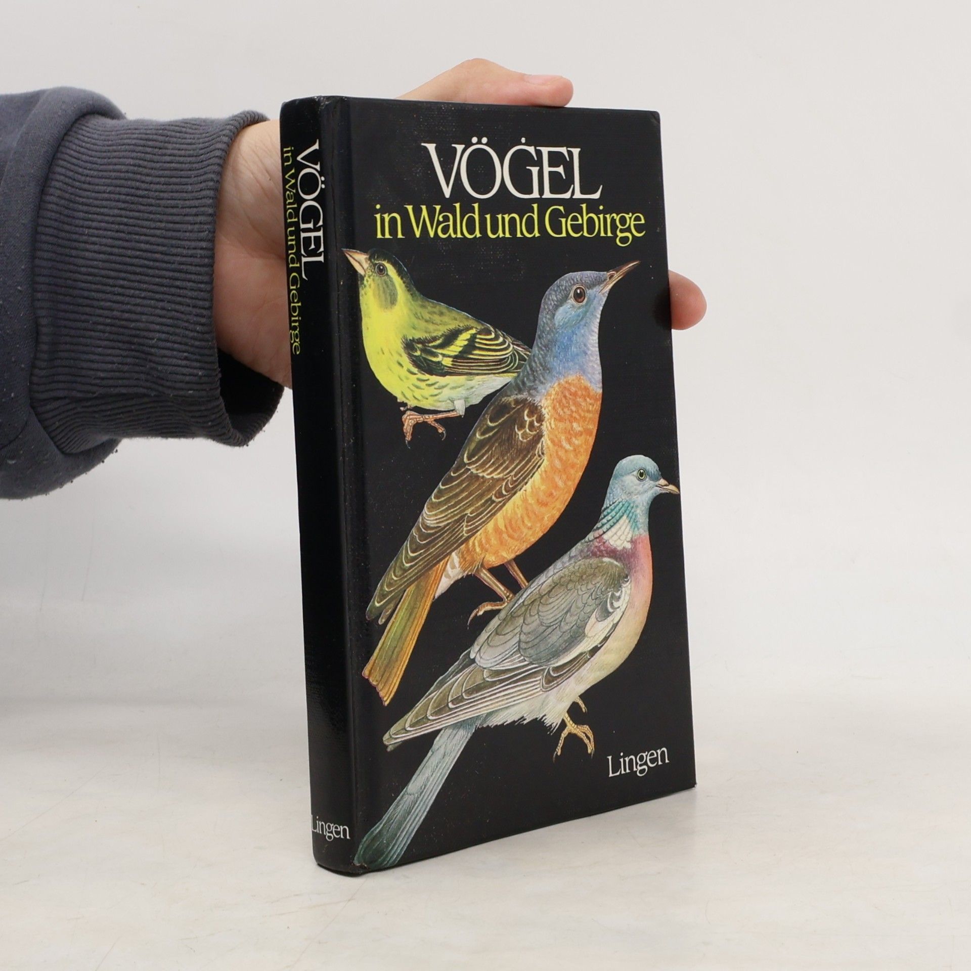 VÖGEL in Wald und Gebirge