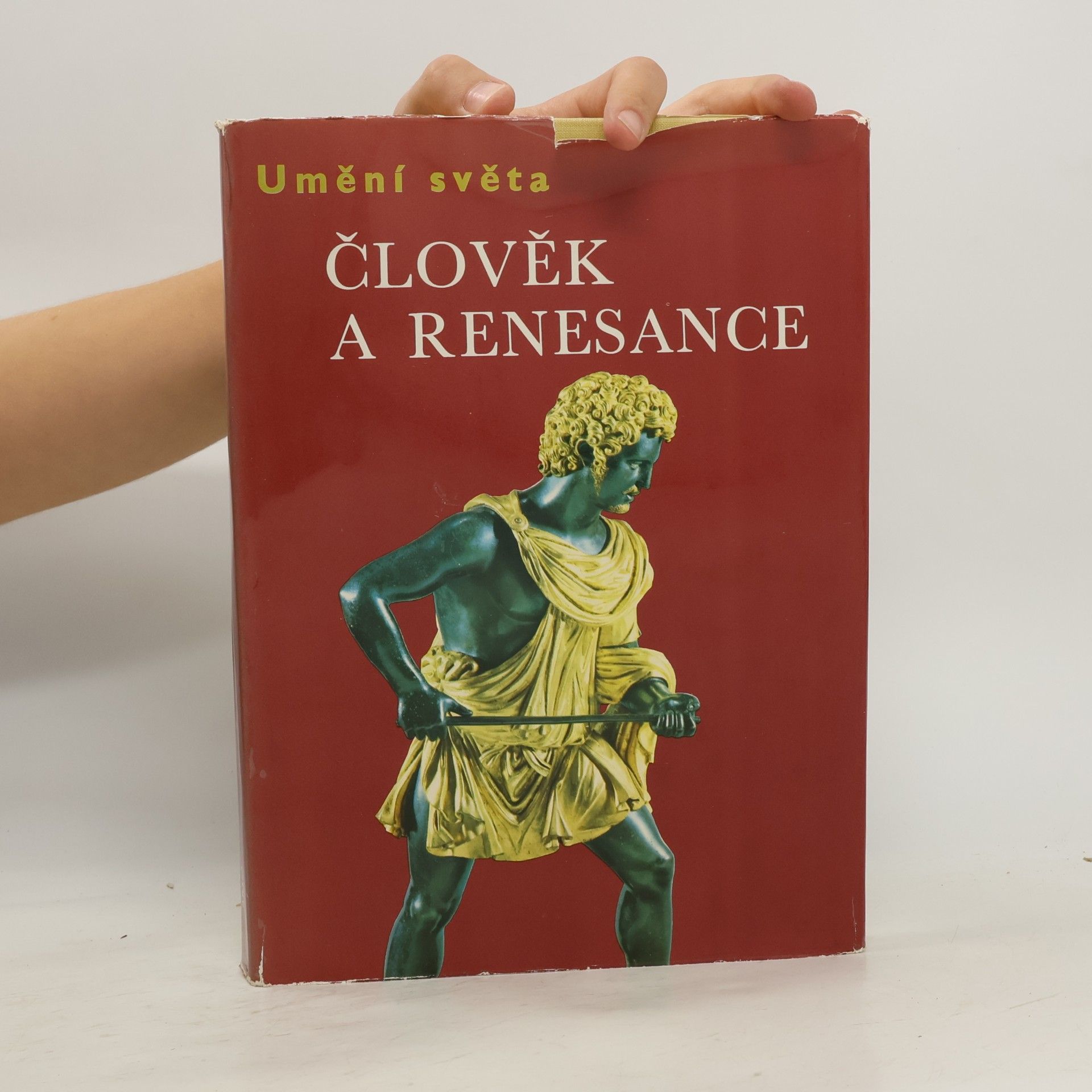 Andrew Martindale Umění světa. Člověk a renesance