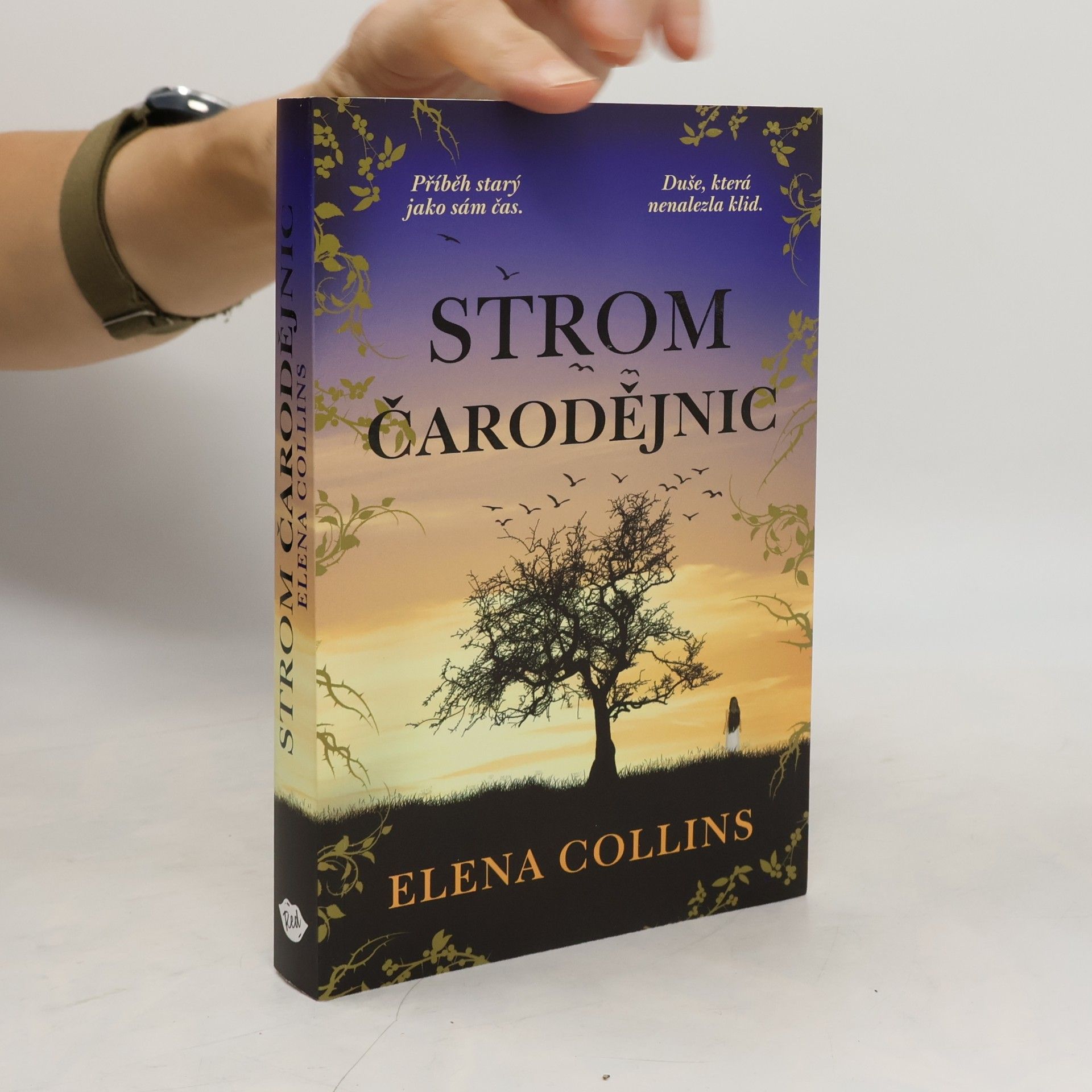 Jana Buchalová Strom čarodějnic