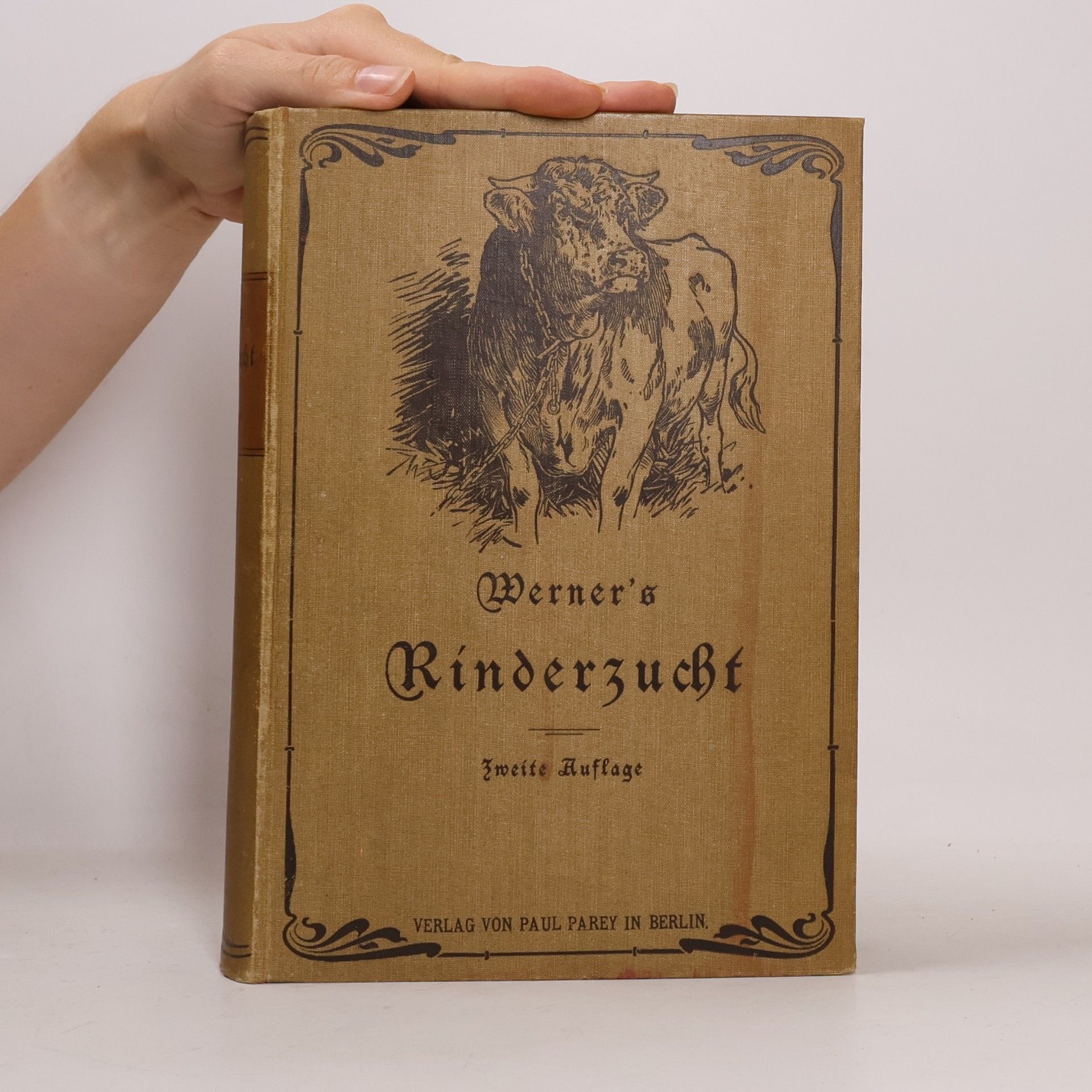 H. Werner Die Rinderzucht