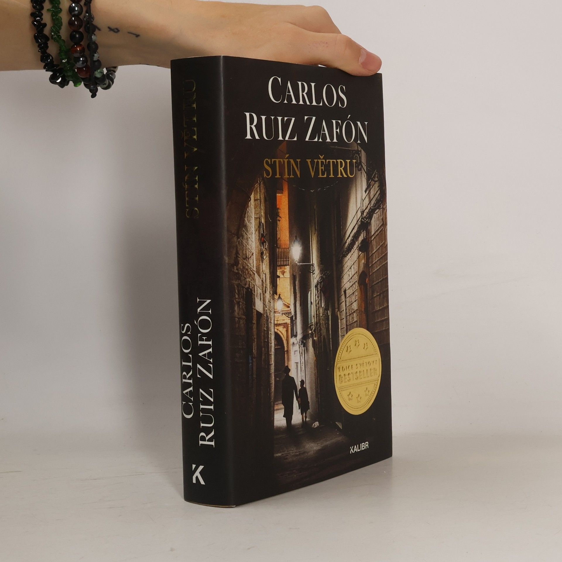 Carlos Ruiz Zafón Stín větru