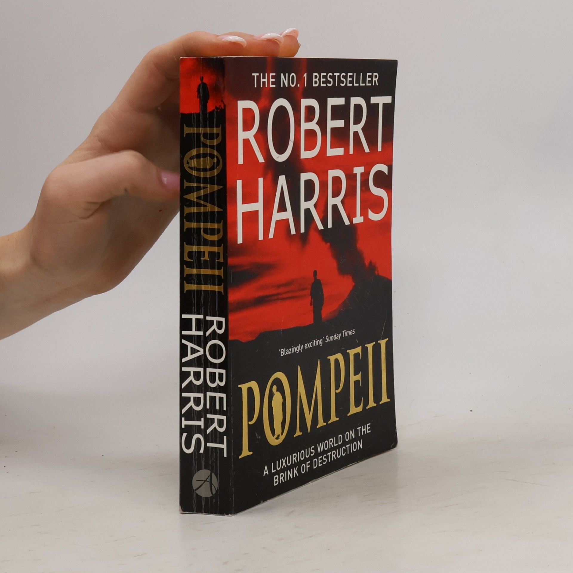 Robert Harris Pompeii
