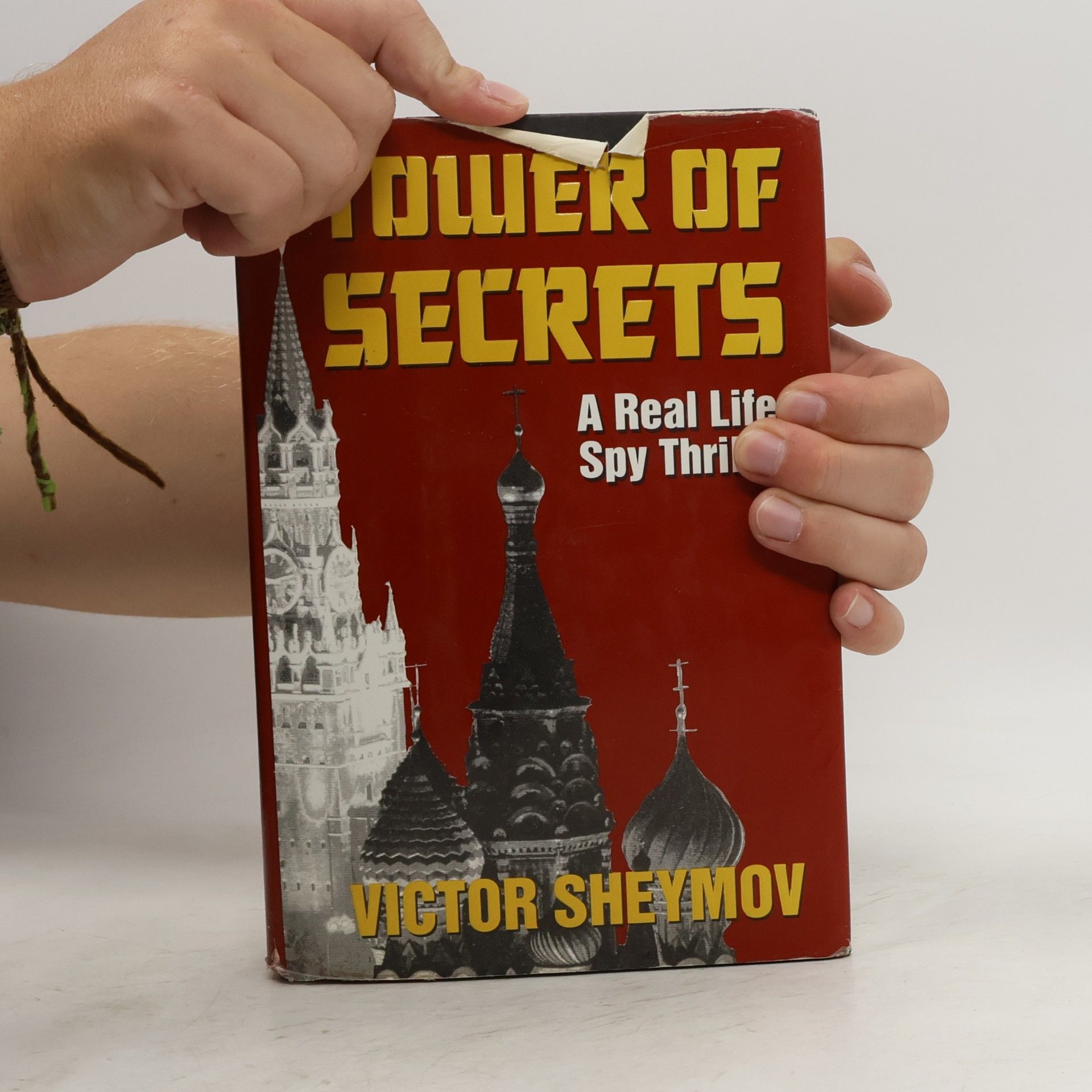 Viktor Sheymov Tower of Secrets