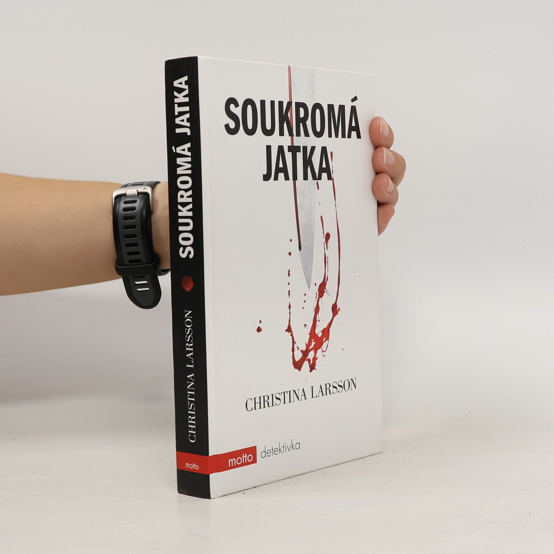 Christina Larsson Soukromá jatka