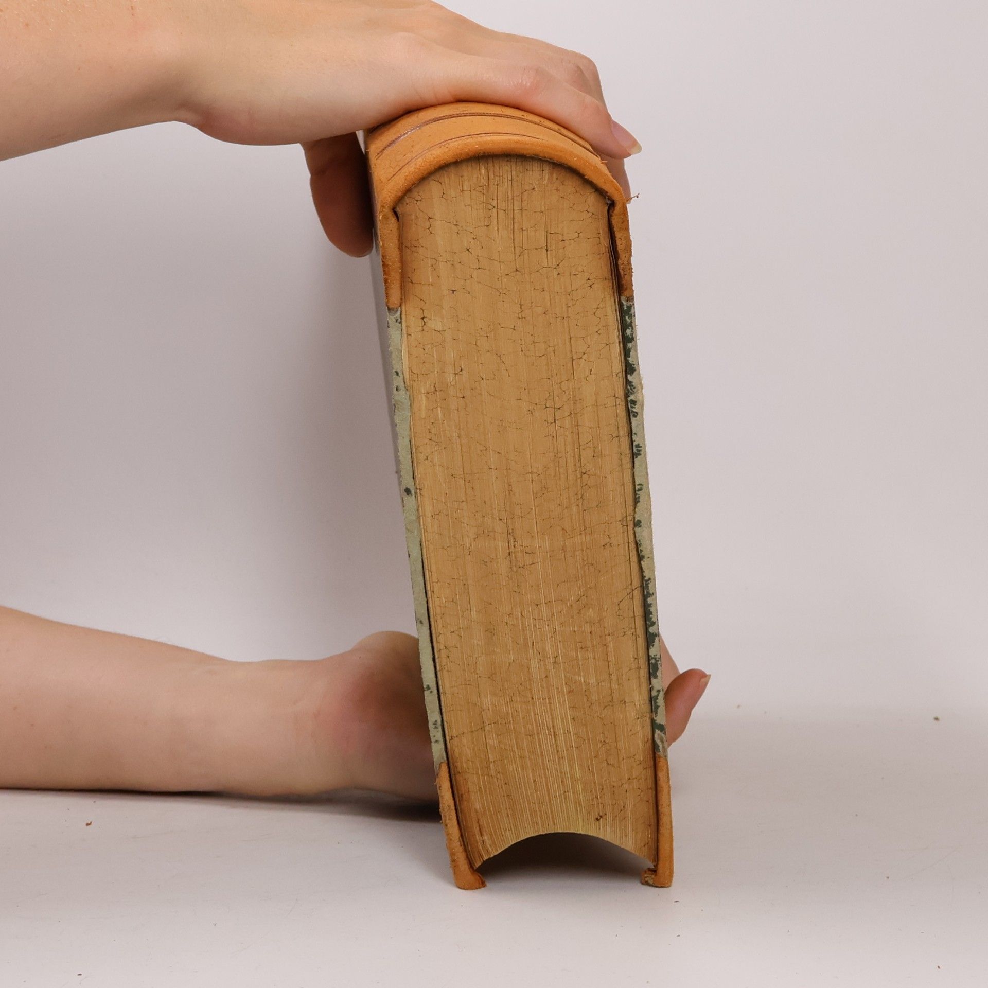 M. A. Thibaut Dictionnaire. Wörterbuch