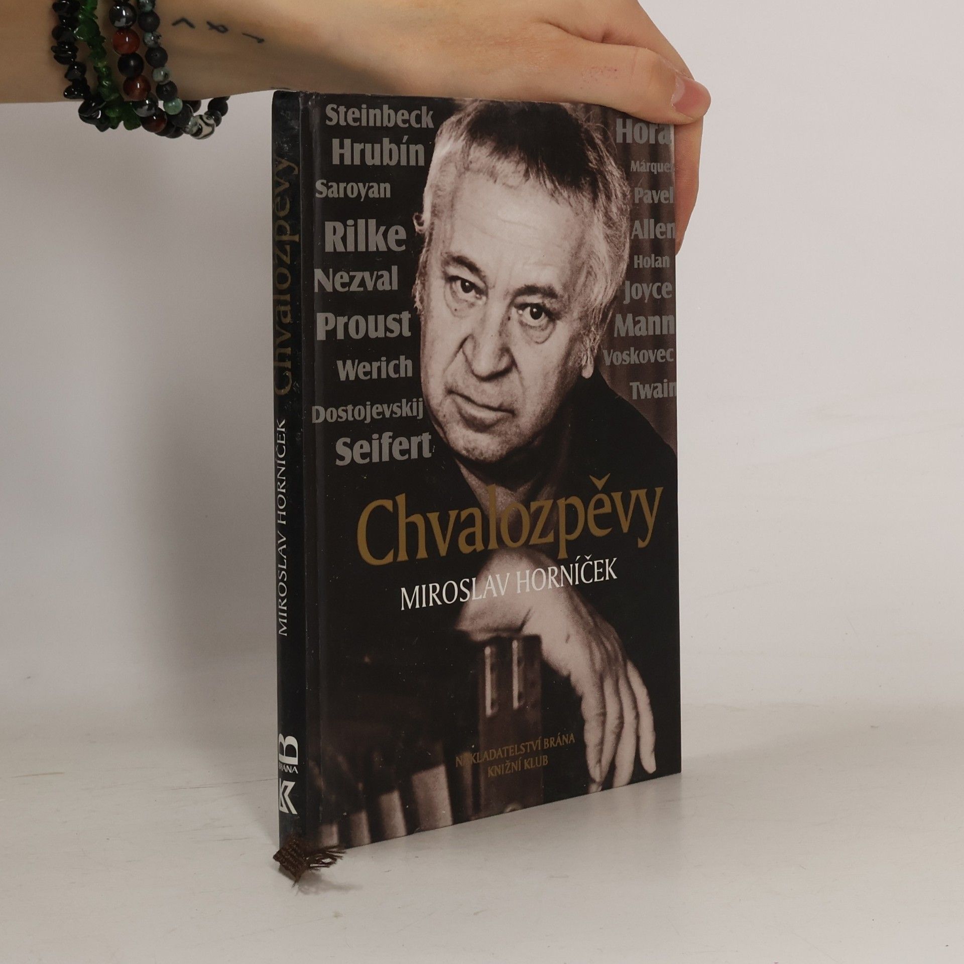 Chvalozpěvy