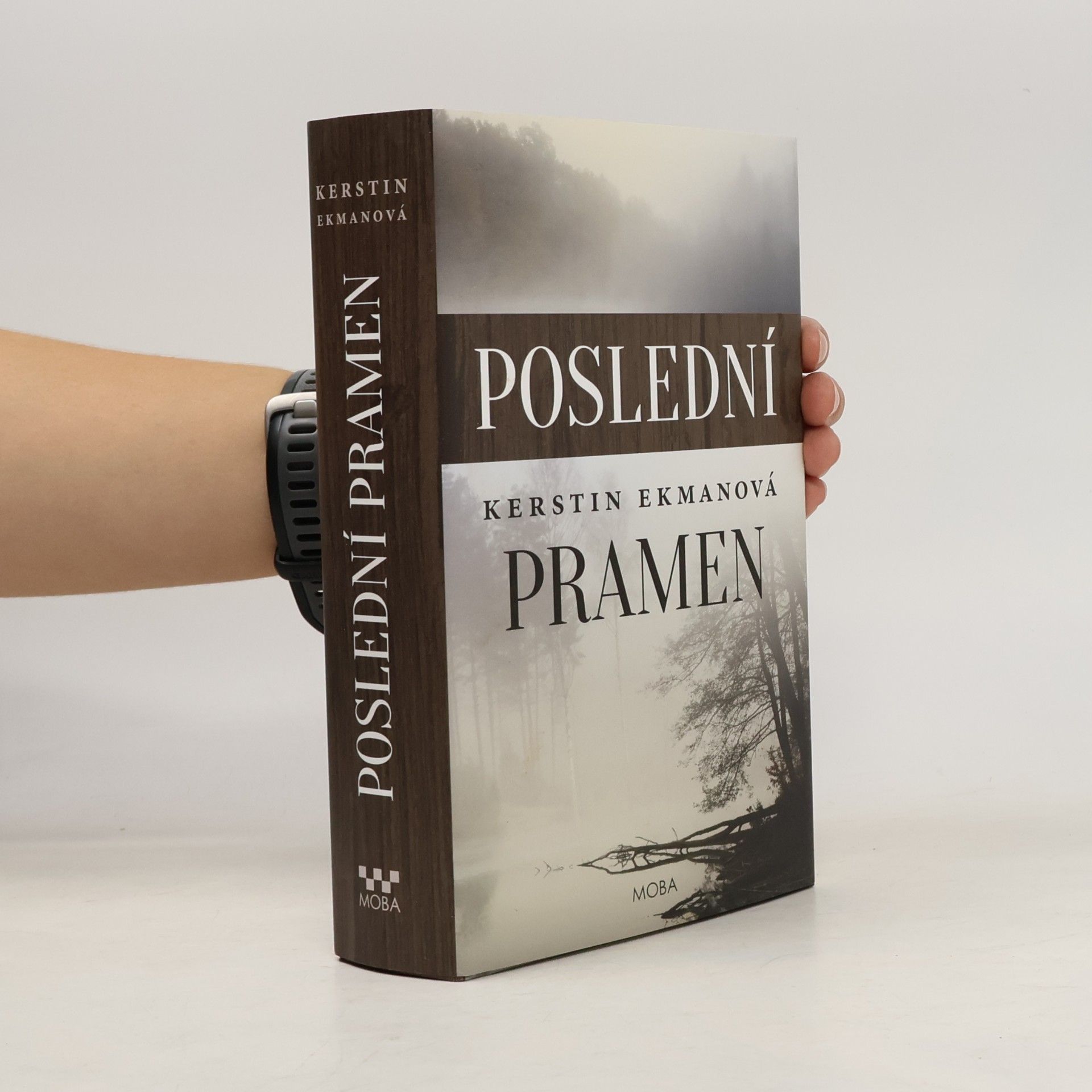 Kerstin Ekman Poslední pramen