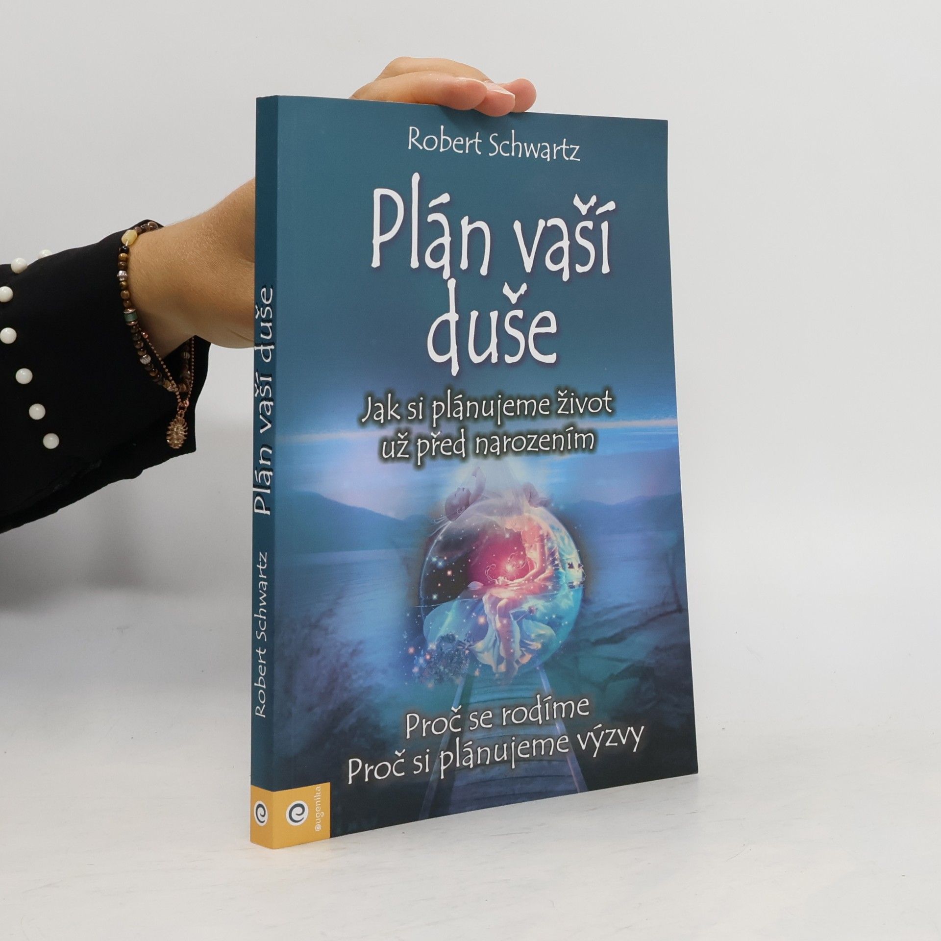 Zuzana Šestáková Plán vaší duše. Jak si plánujeme život už před narozením