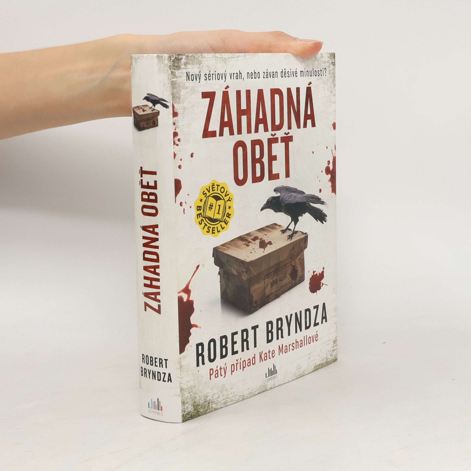 Robert Bryndza Záhadná oběť