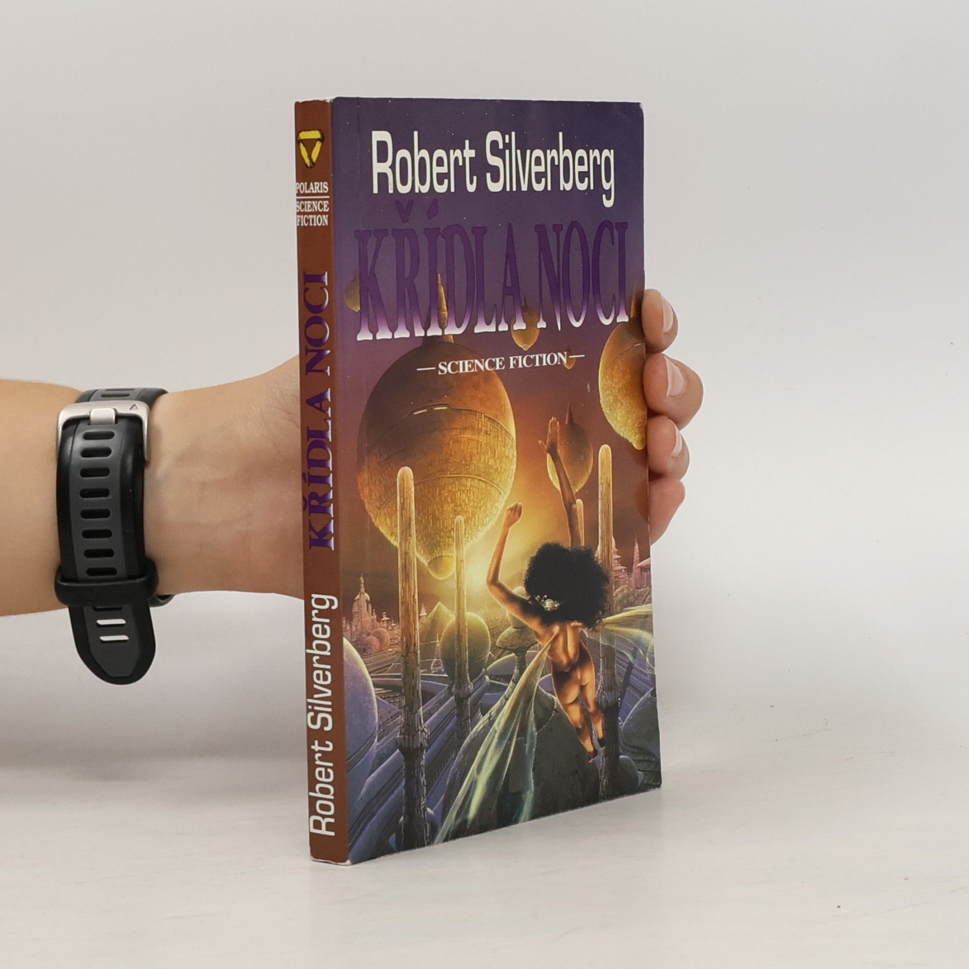 Robert Silverberg Křídla noci