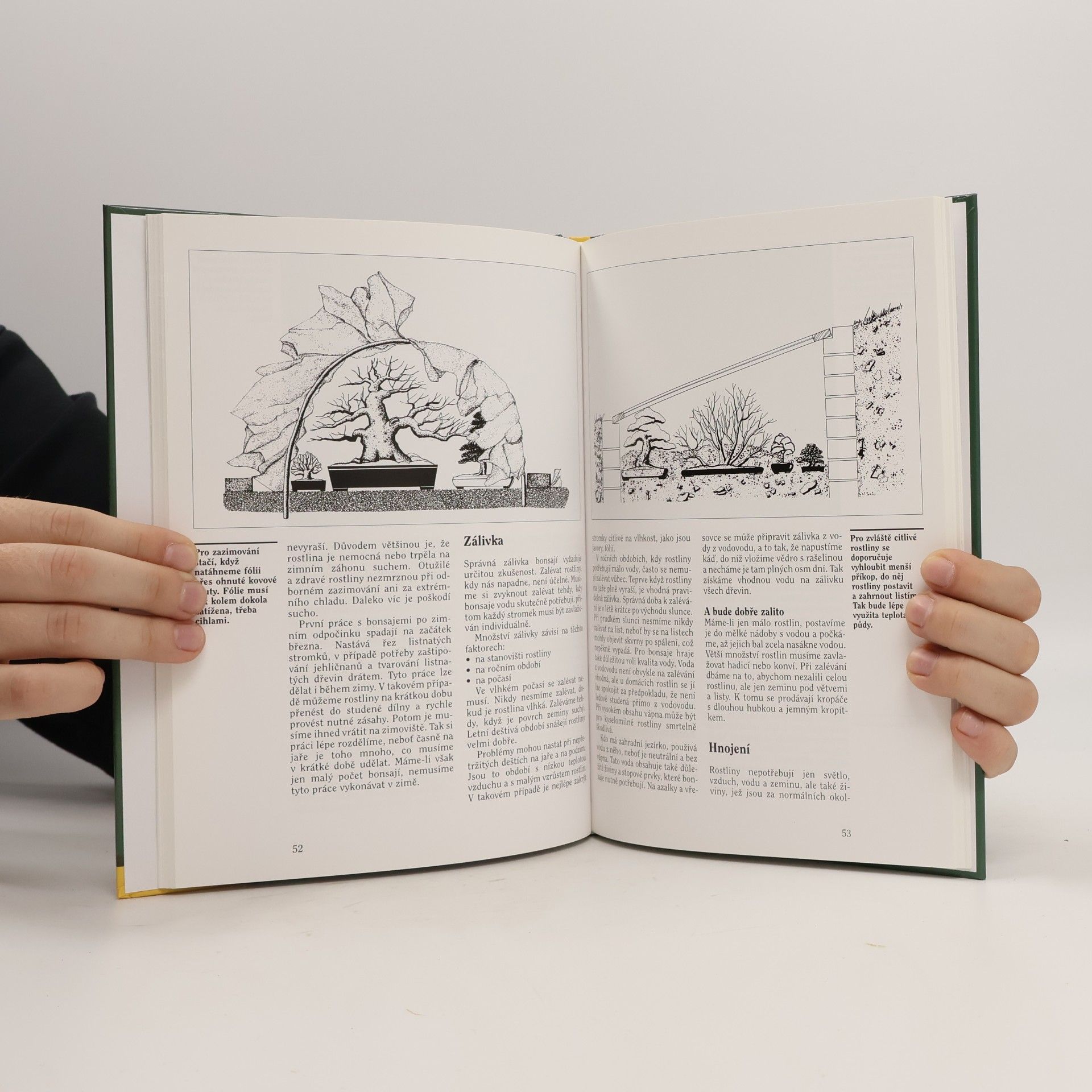 Wolfgang Kohlhepp Bonsaje z domácích dřevin. 54 barevných fotografií, 78 kreseb