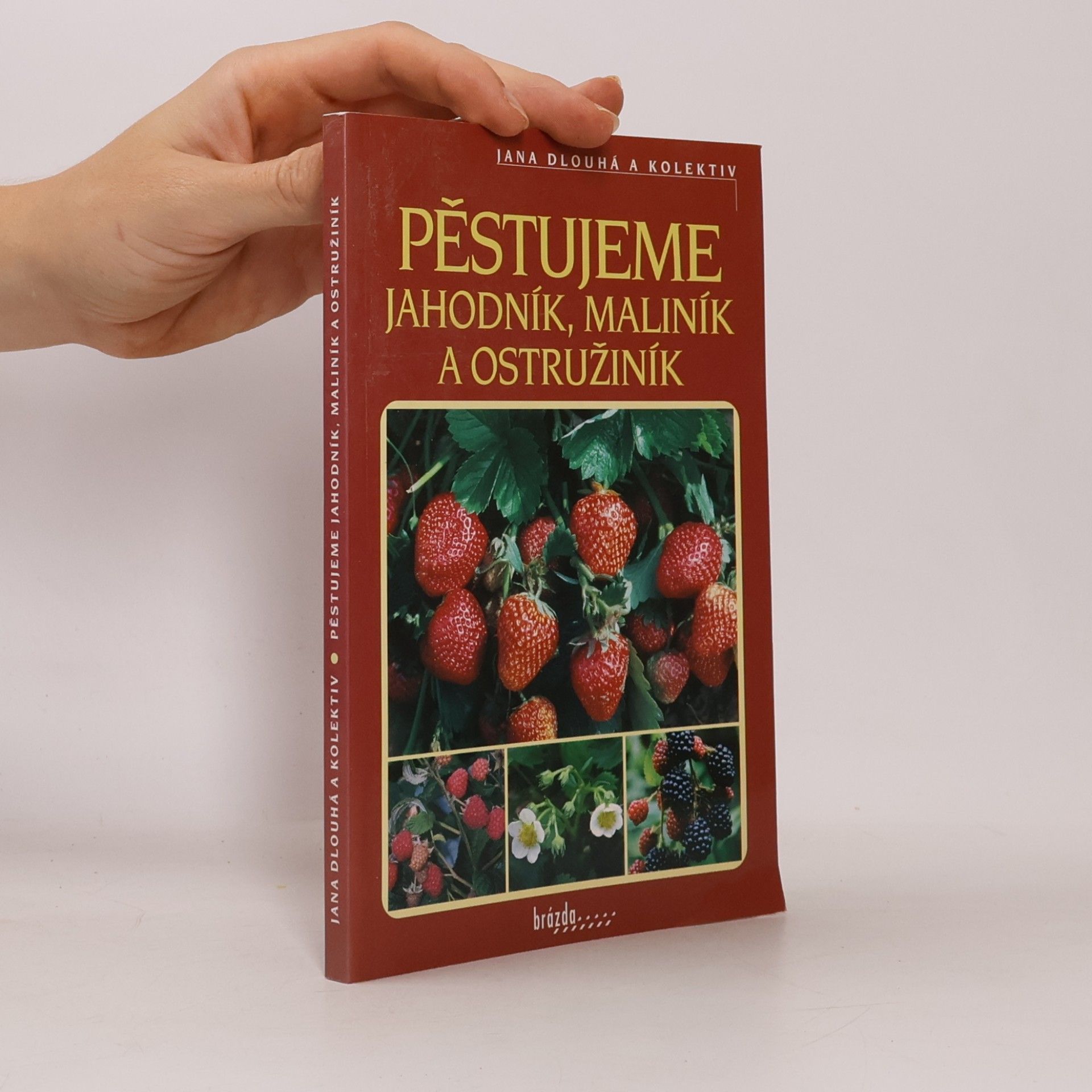 Jana Dlouhá Pěstujeme jahodník, maliník a ostružiník
