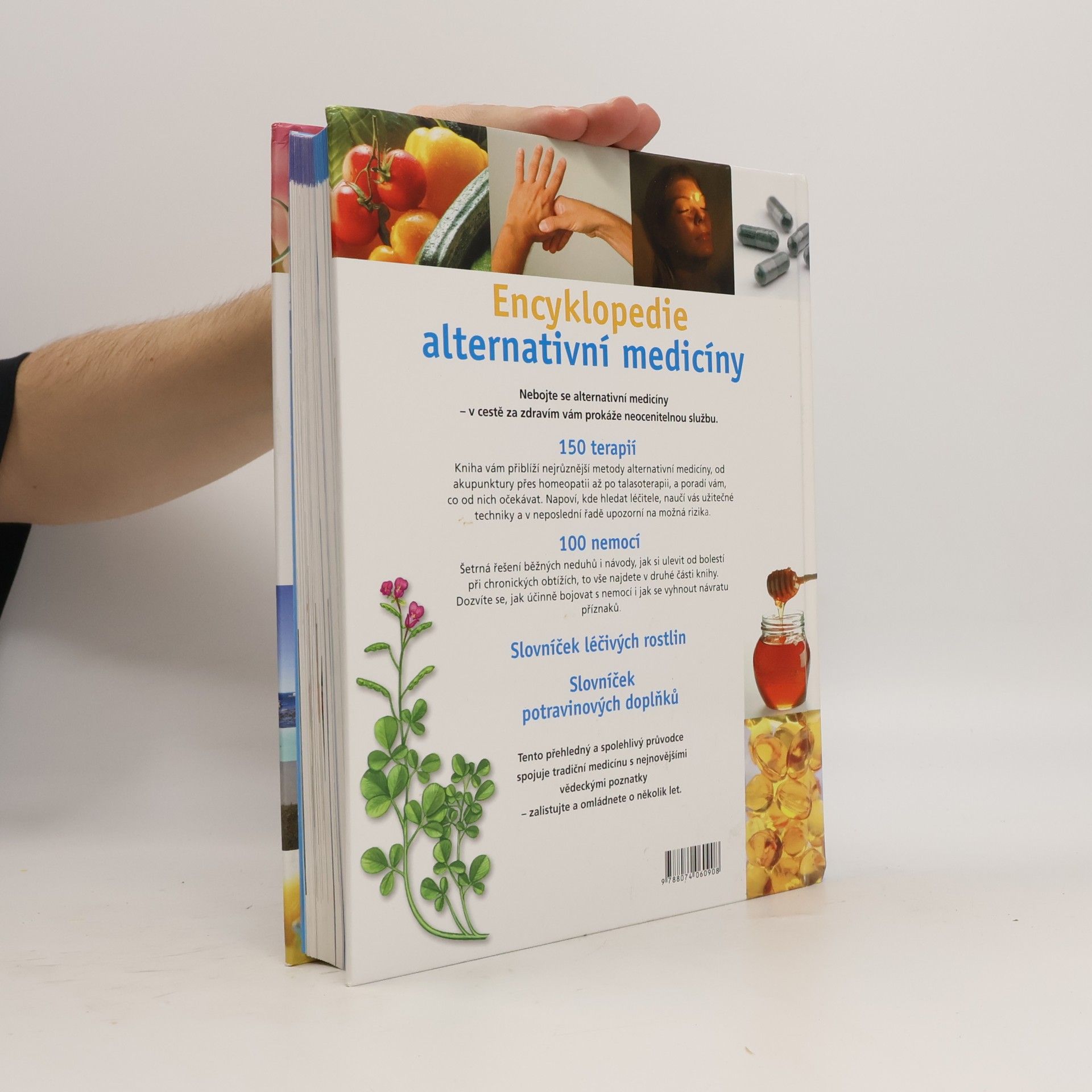 JeanErnest Alther Encyklopedie alternativní medicíny: Praktický průvodce přírodními léčebnými postupy