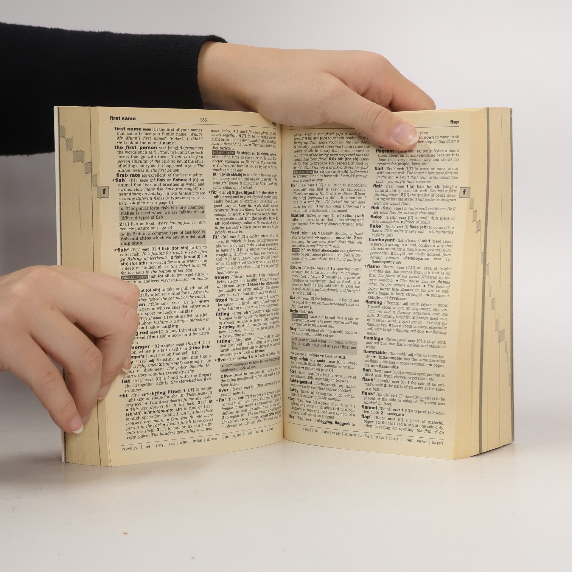 Sally Wehmeier Oxford Wordpower Dictionary