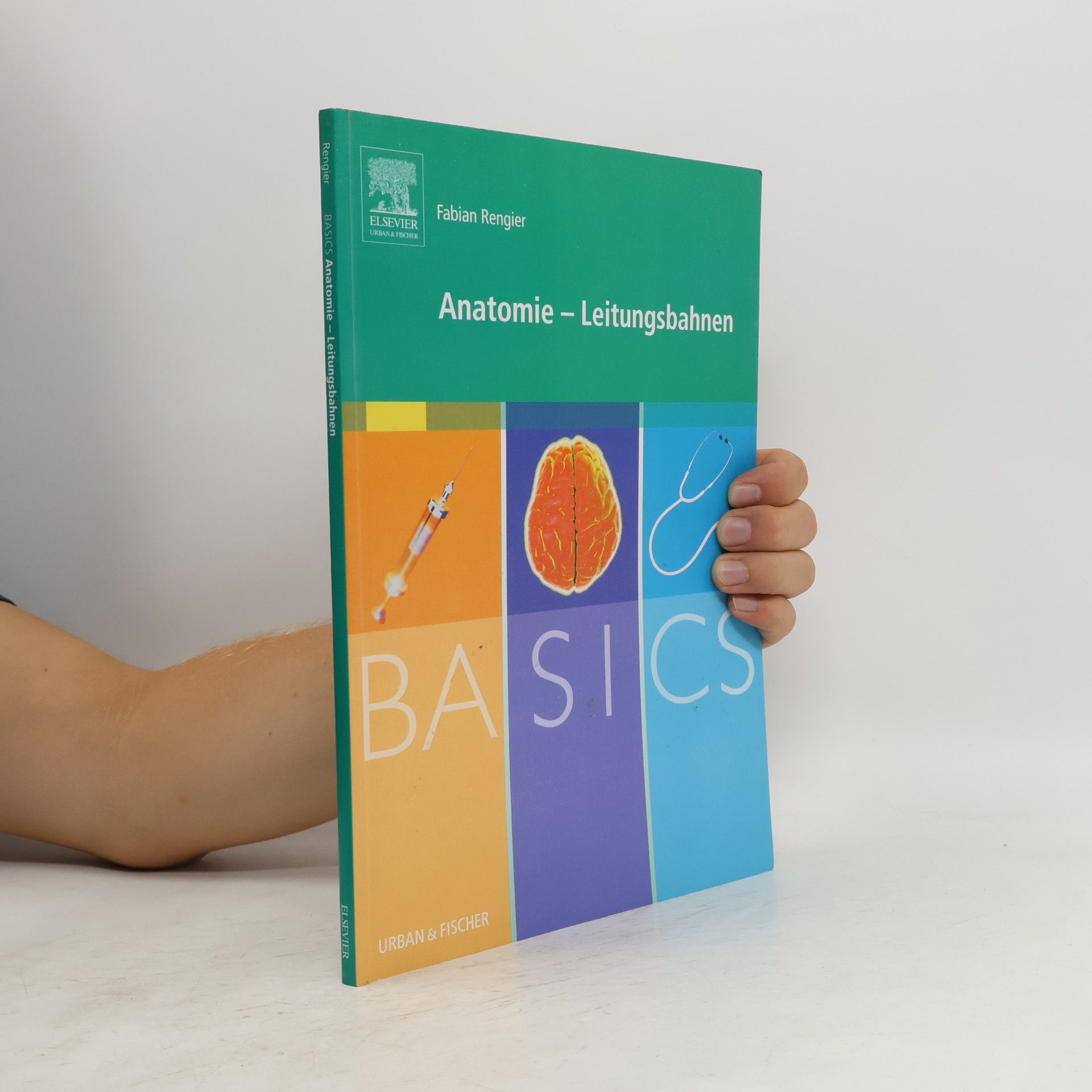 Fabian Rengier Basics Anatomie - Leitungsbahnen